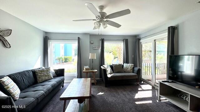 100555120 | Photo 20