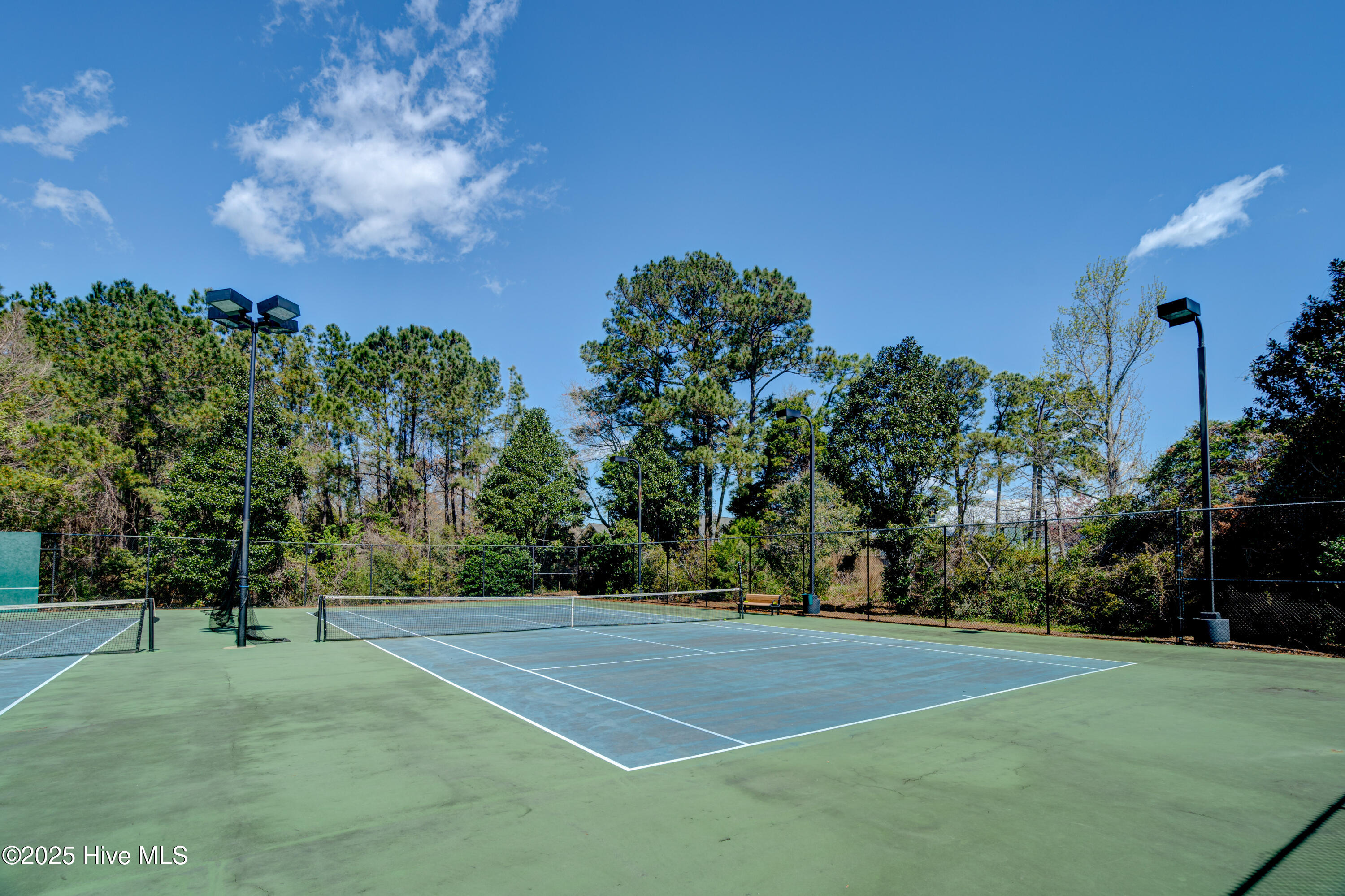 100535158 | Photo 77