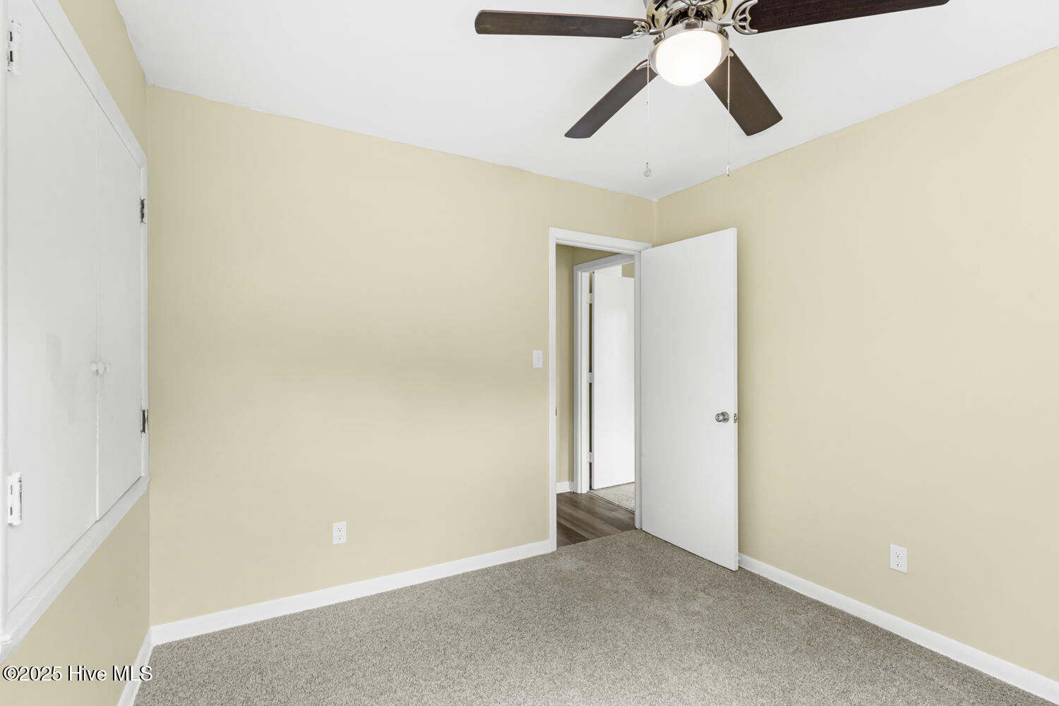 100534316 | Photo 38