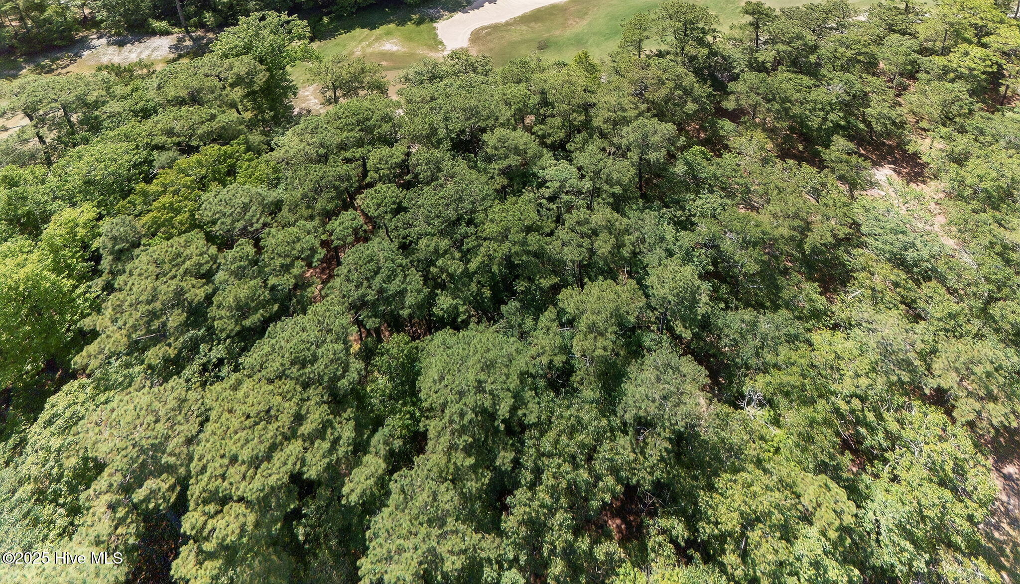 100519533 | Photo 22