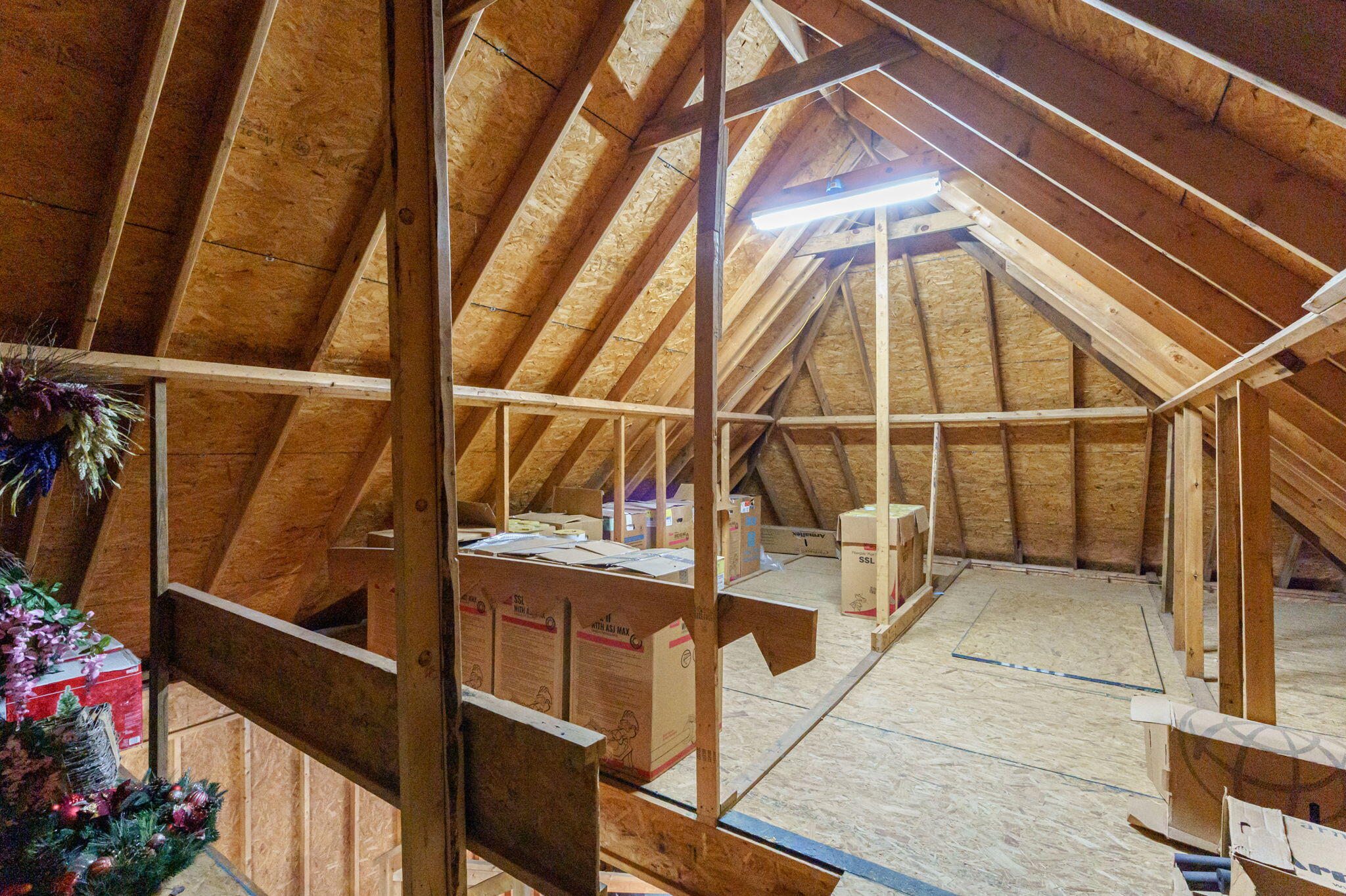 145-web-or-mls-154