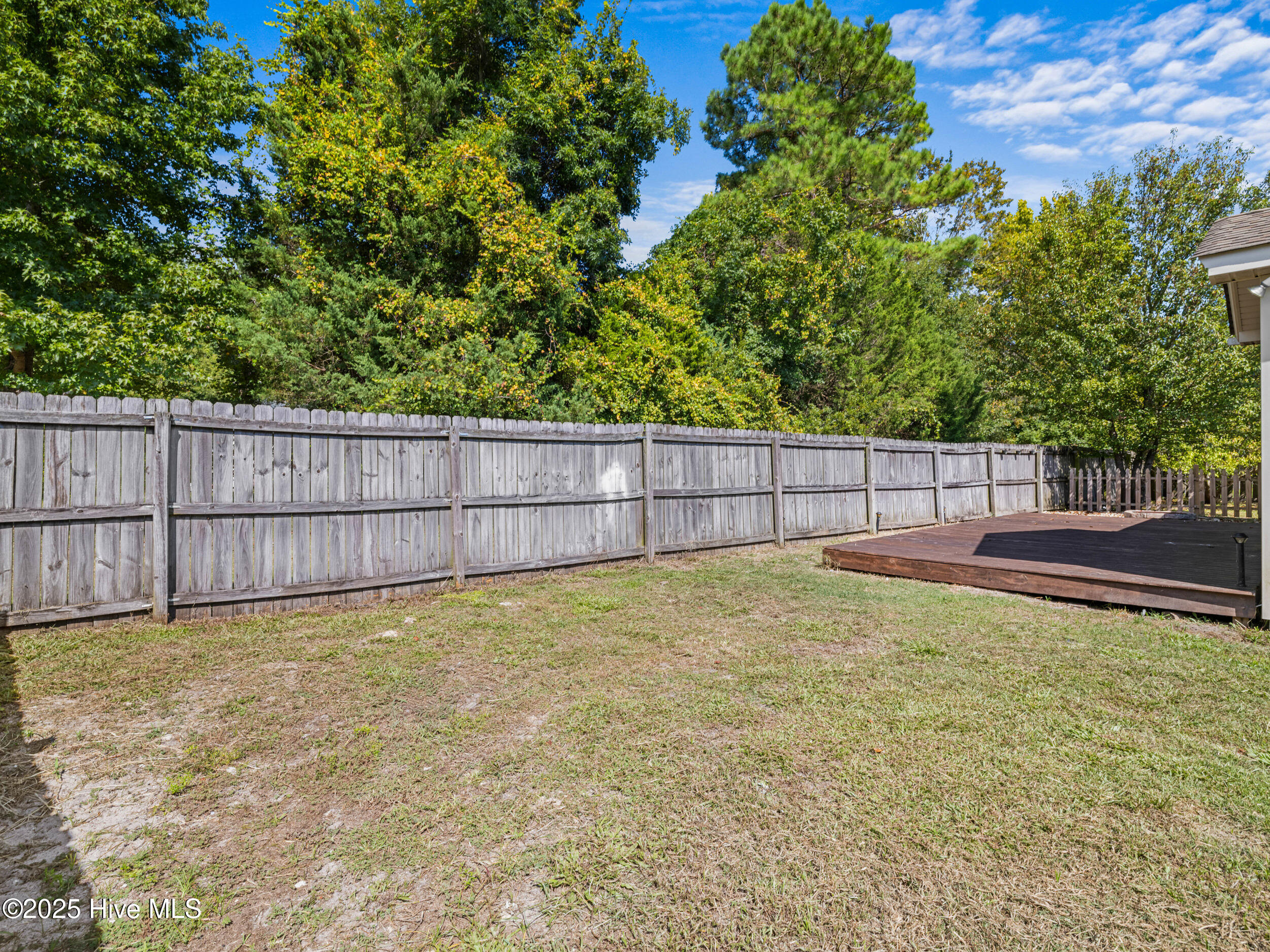 100531847 | Photo 41