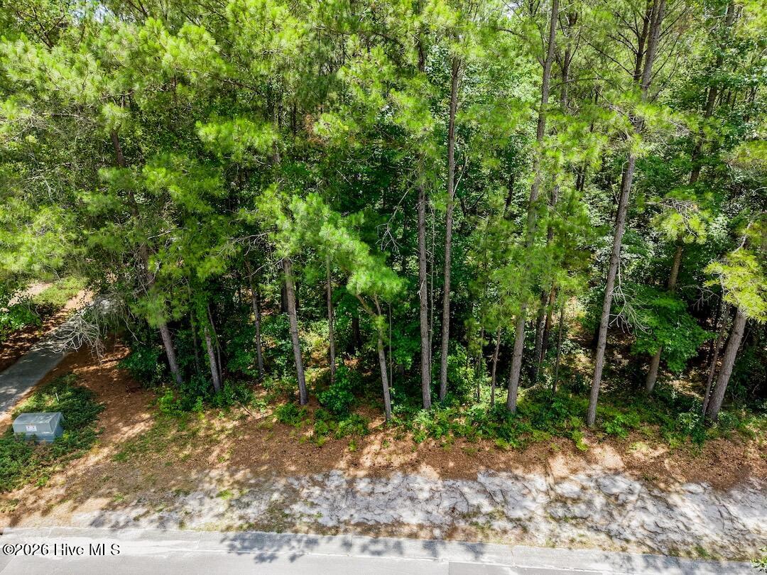 2nd image of 289 River Ridge Dr, Wallace, NC 28466 | MLS# 100598432