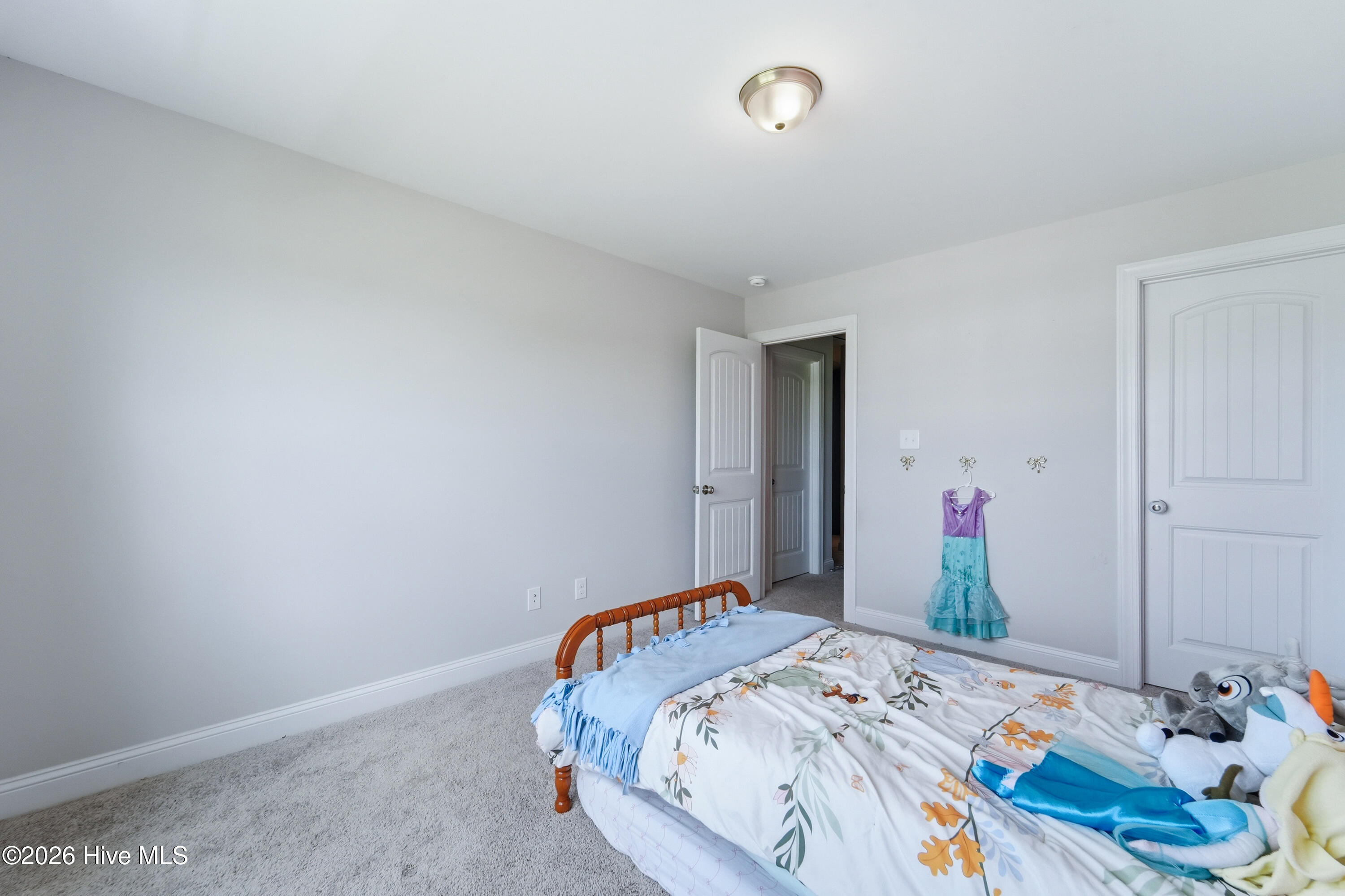 700 Puppy Drum Lane,Maysville