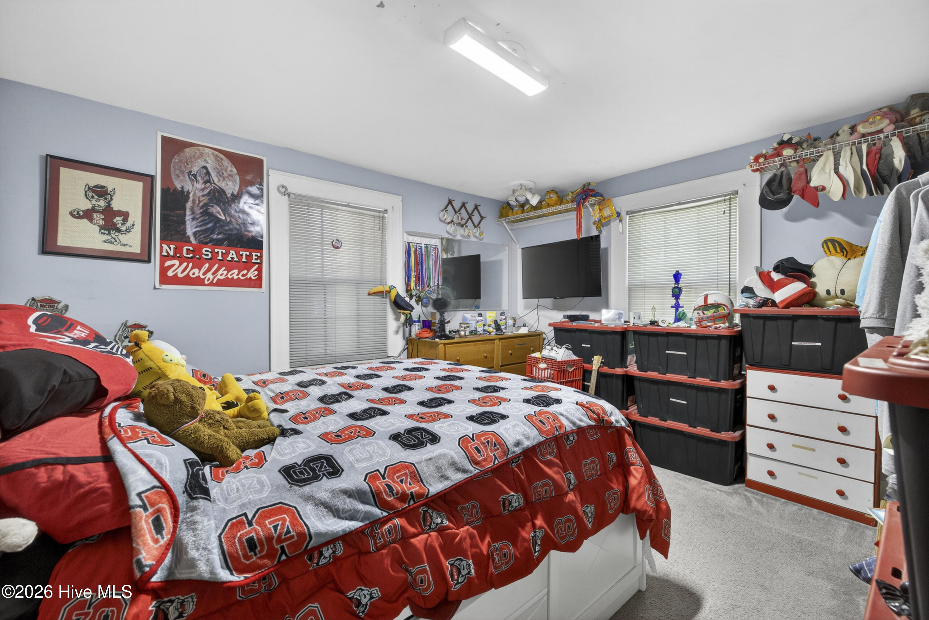 100569316 | Photo 37