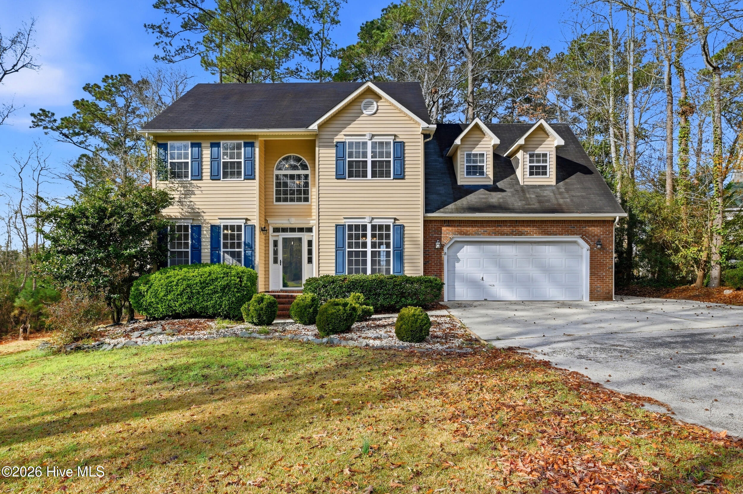 100559953 | Photo 58