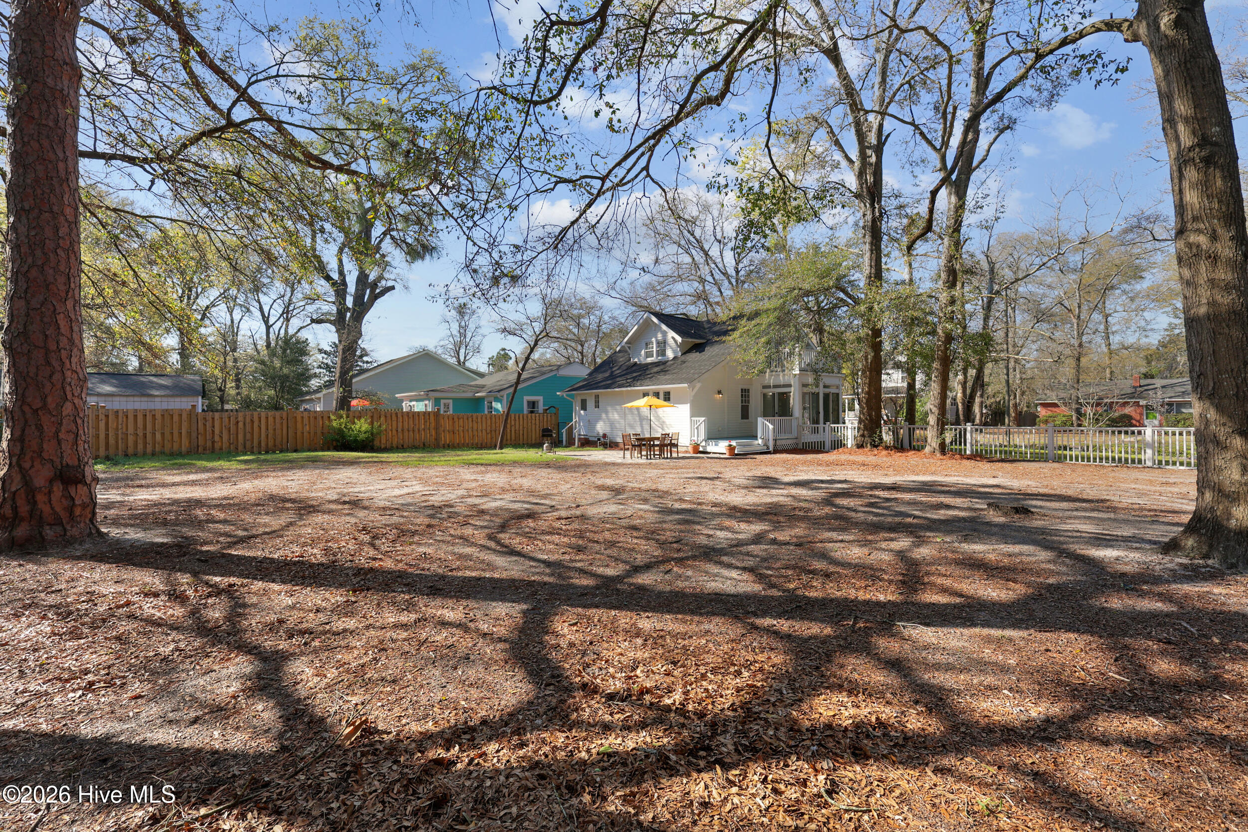 100562398 | Photo 39