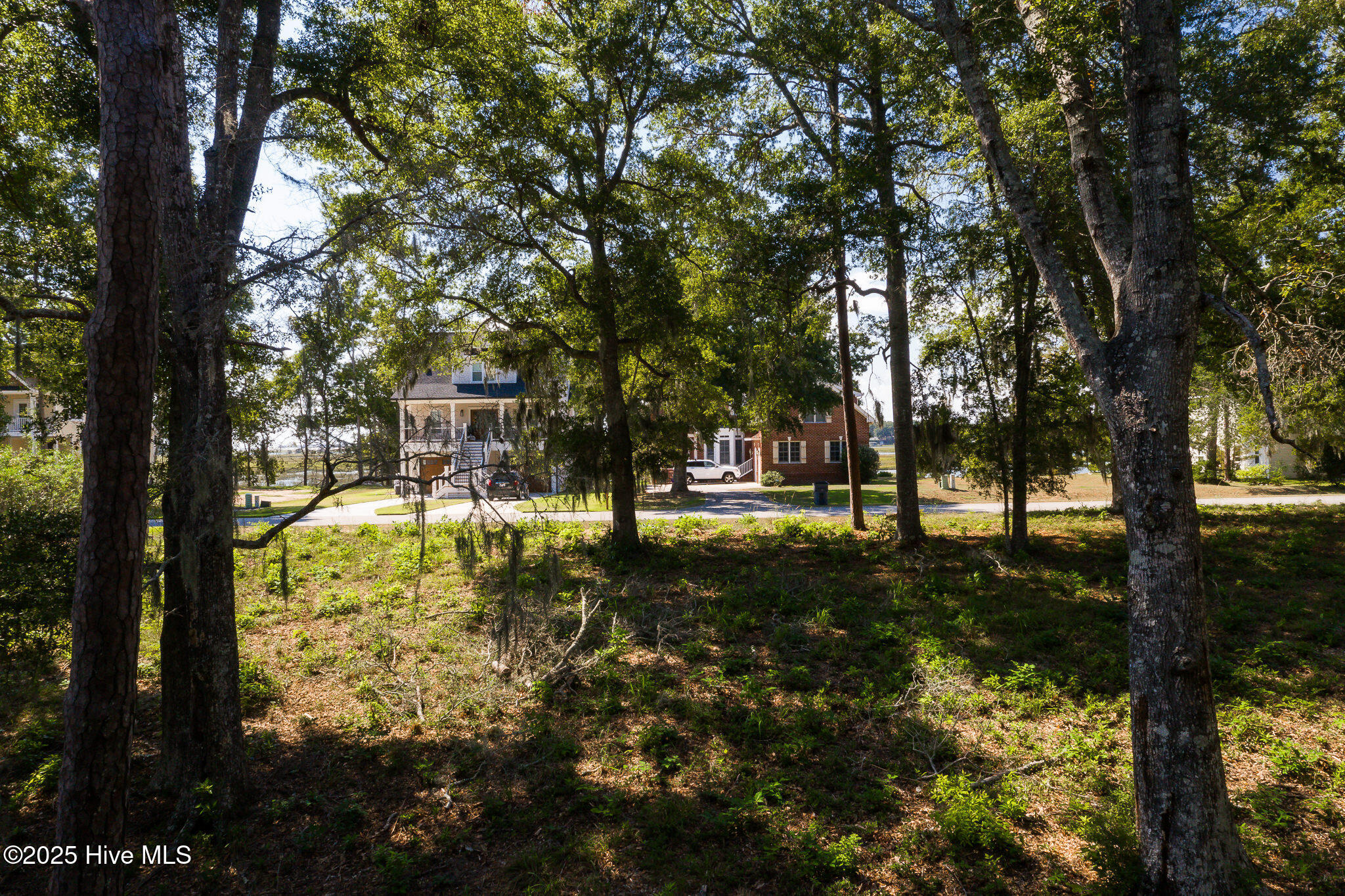 100533242 | Photo 13