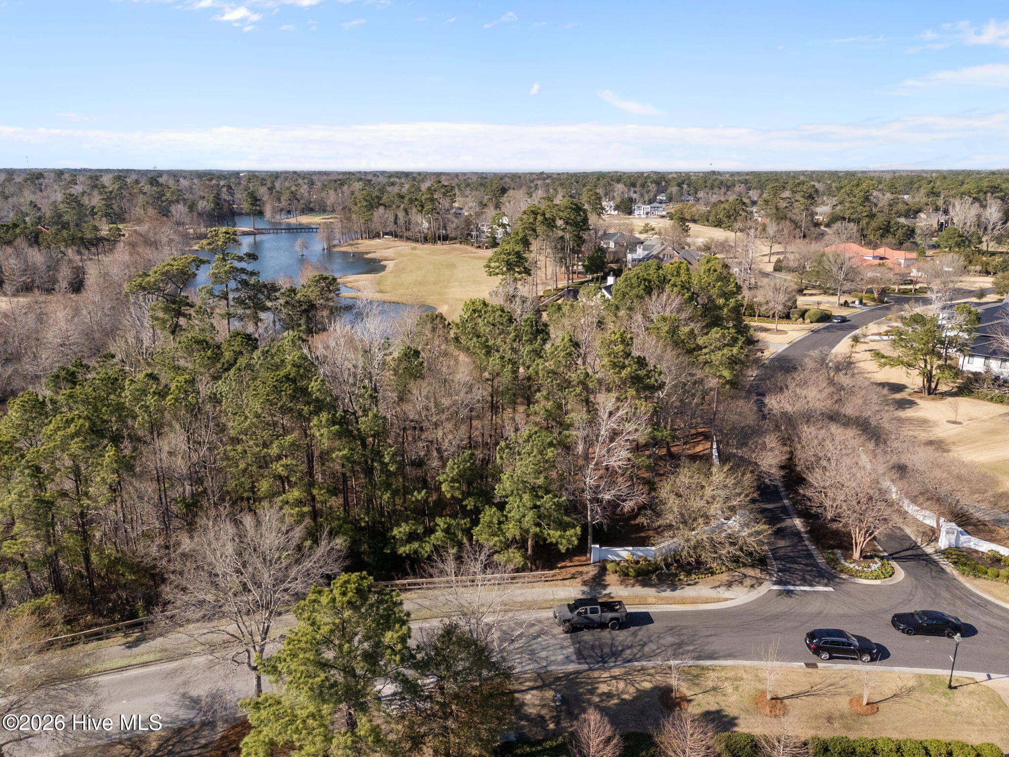 100559431 | Photo 14