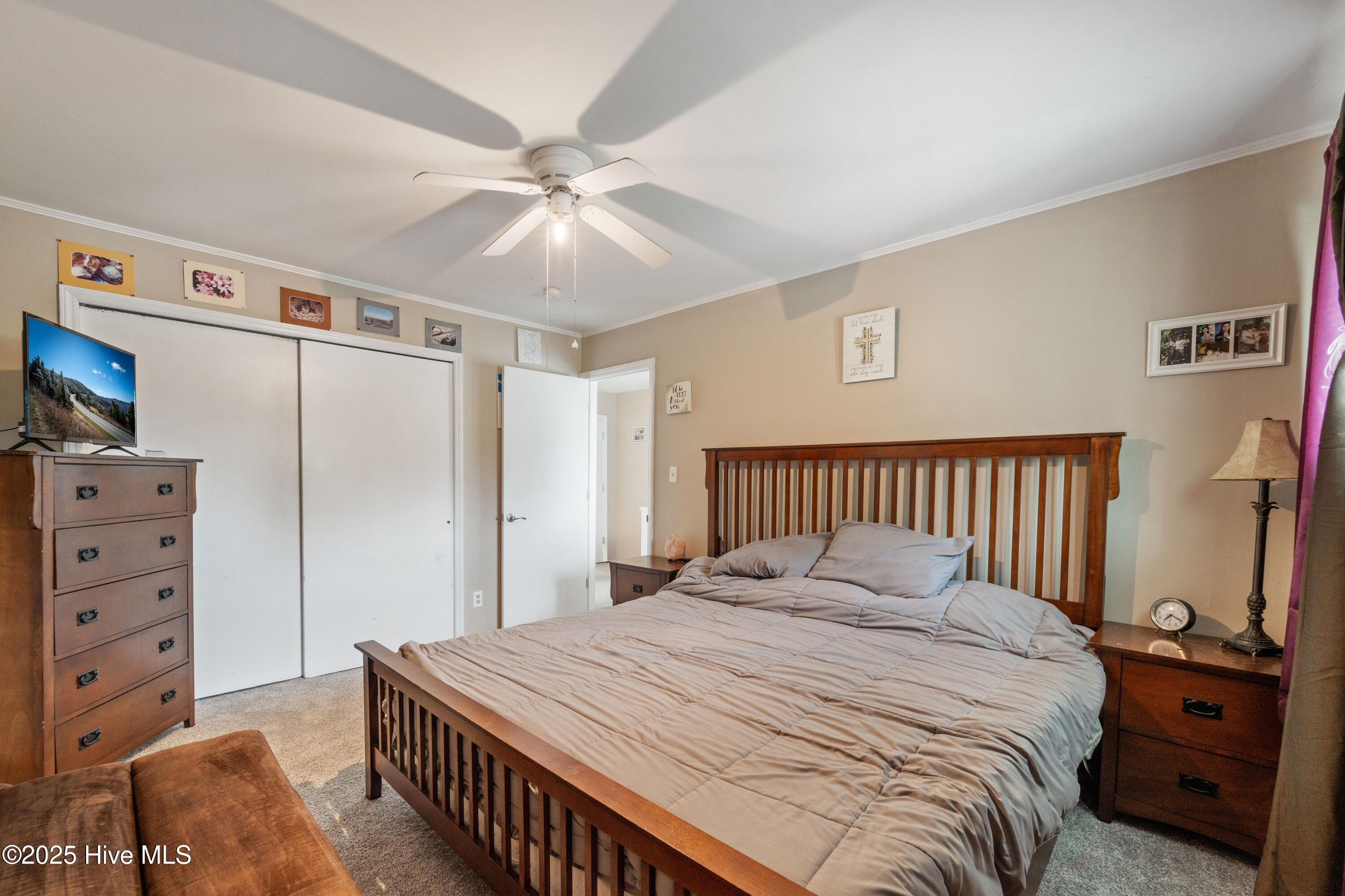 100538926 | Photo 23