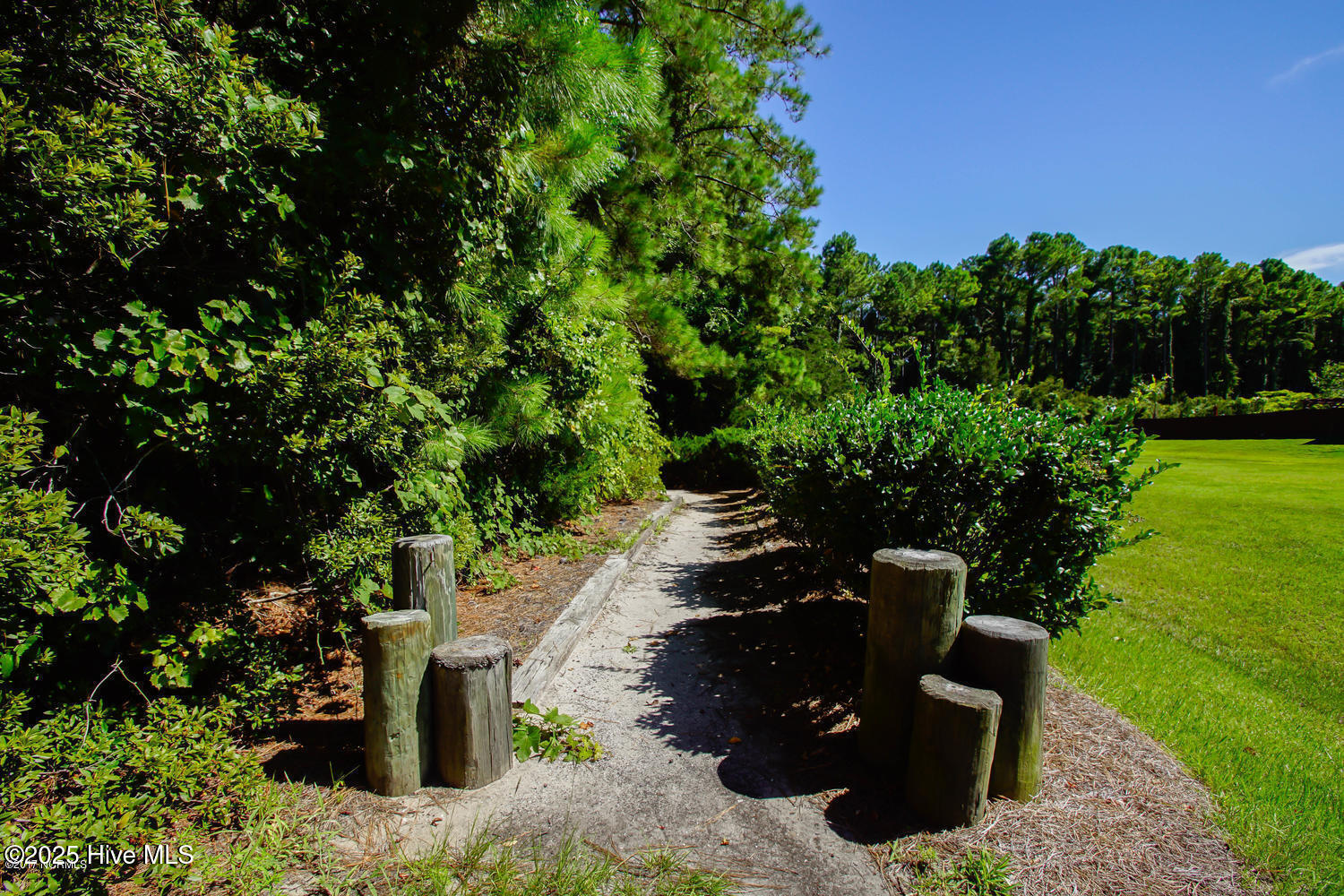 100539610 | Photo 11