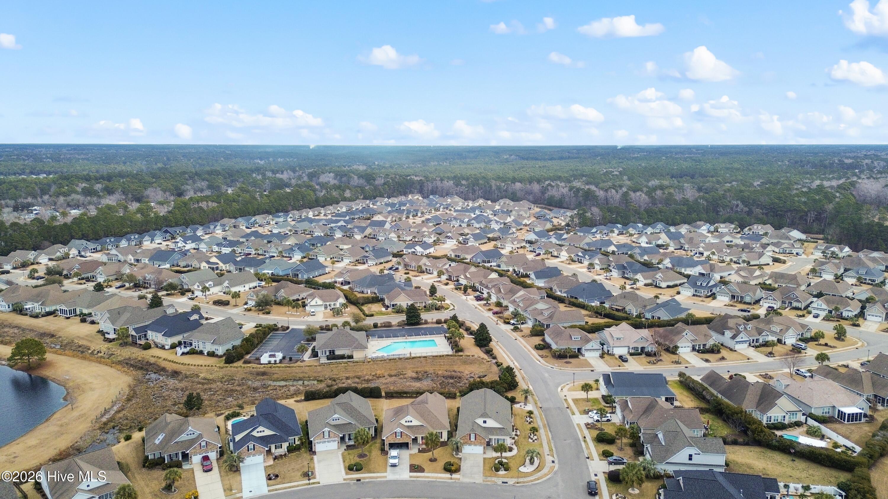 100554083 | Photo 43