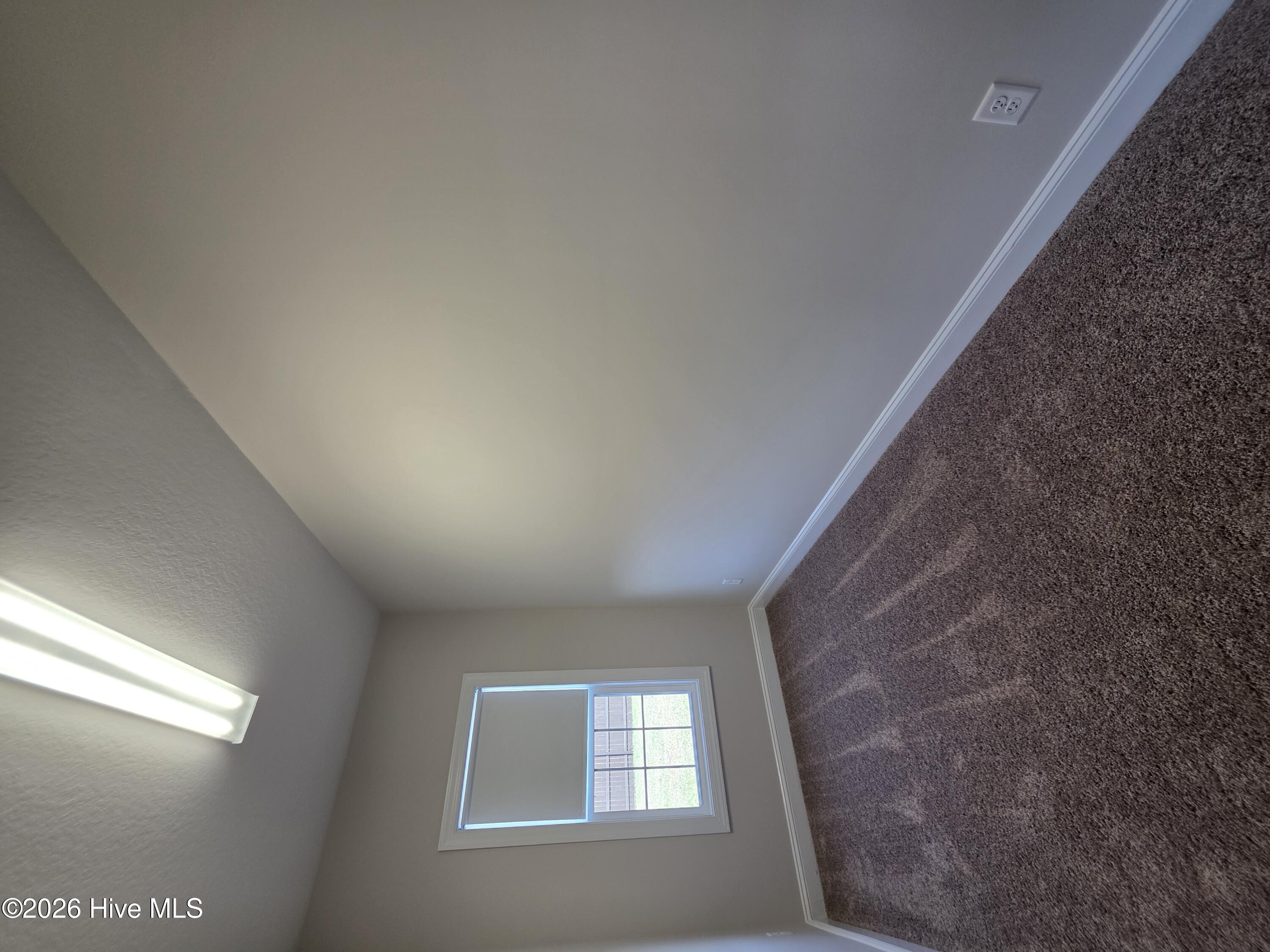 100562306 | Photo 18