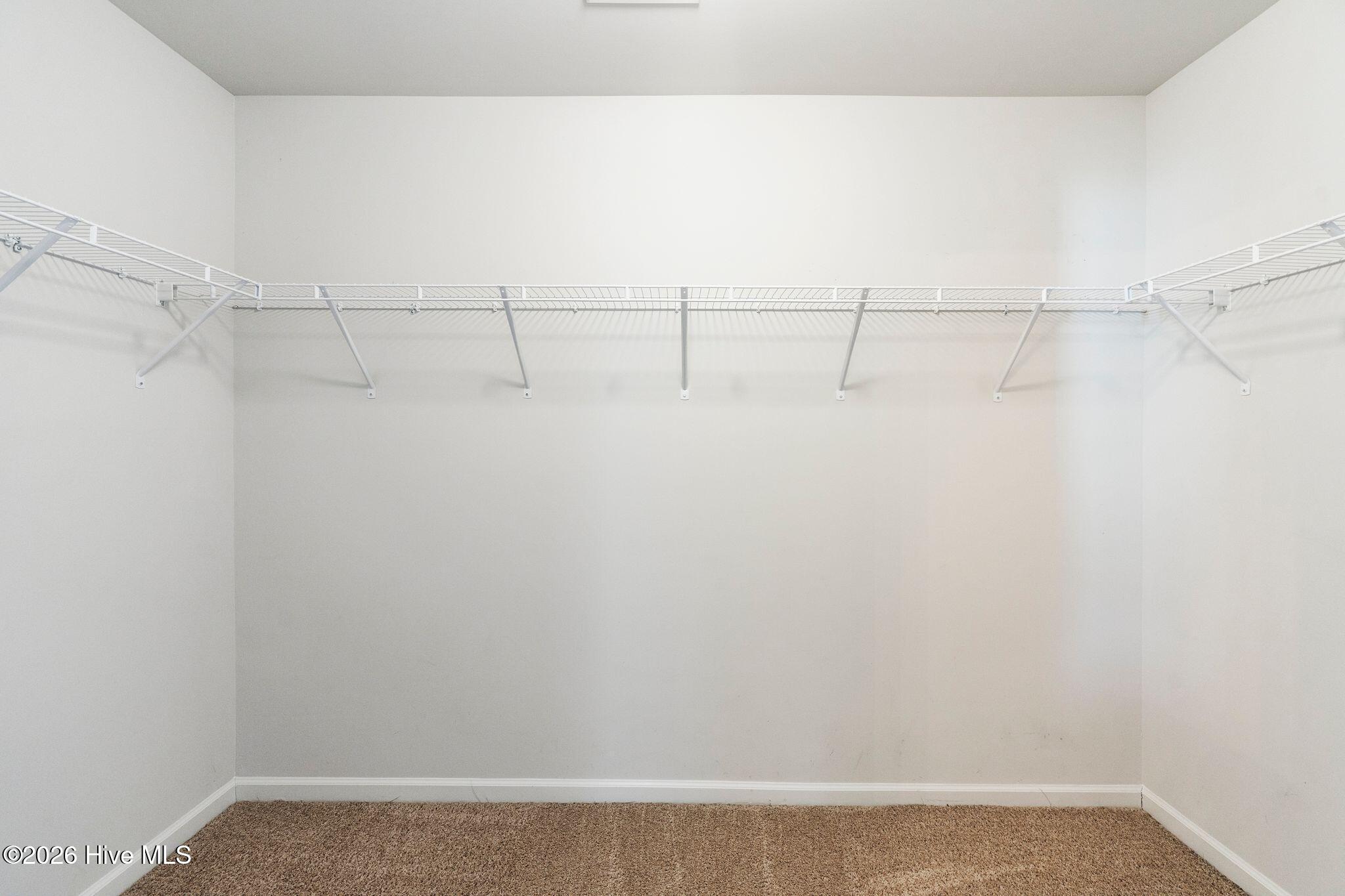 100553399 | Photo 28