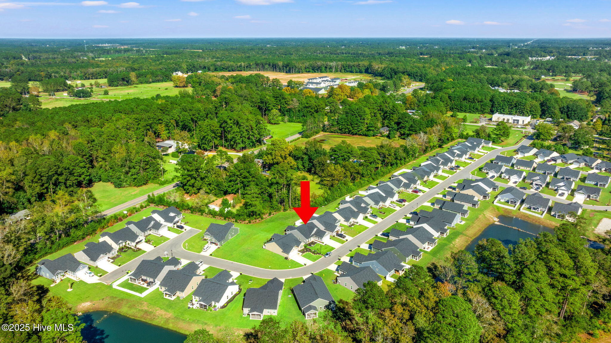 100537492 | Photo 27