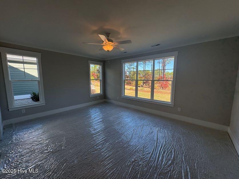 100519716 | Photo 19