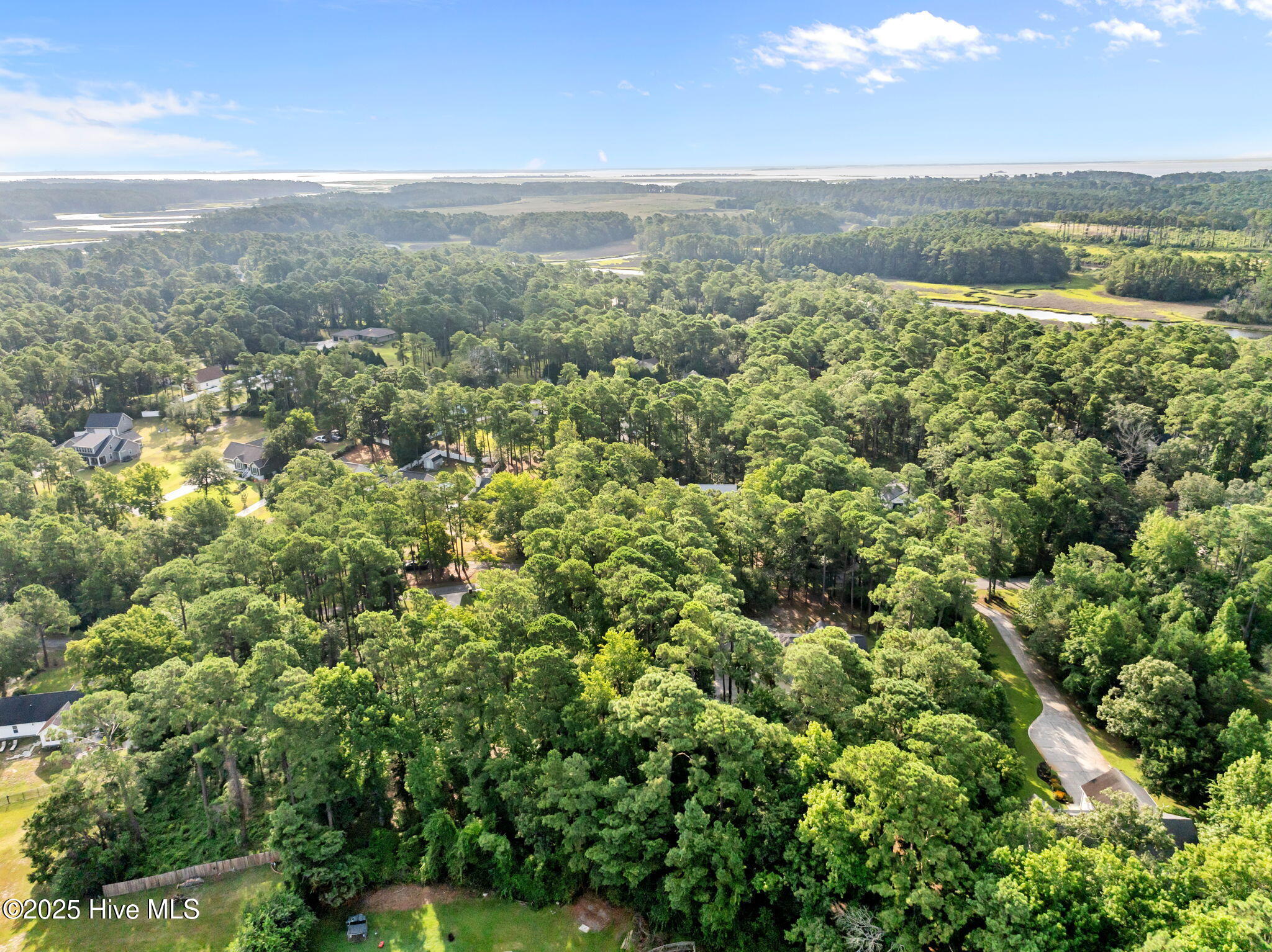 100520781 | Photo 15