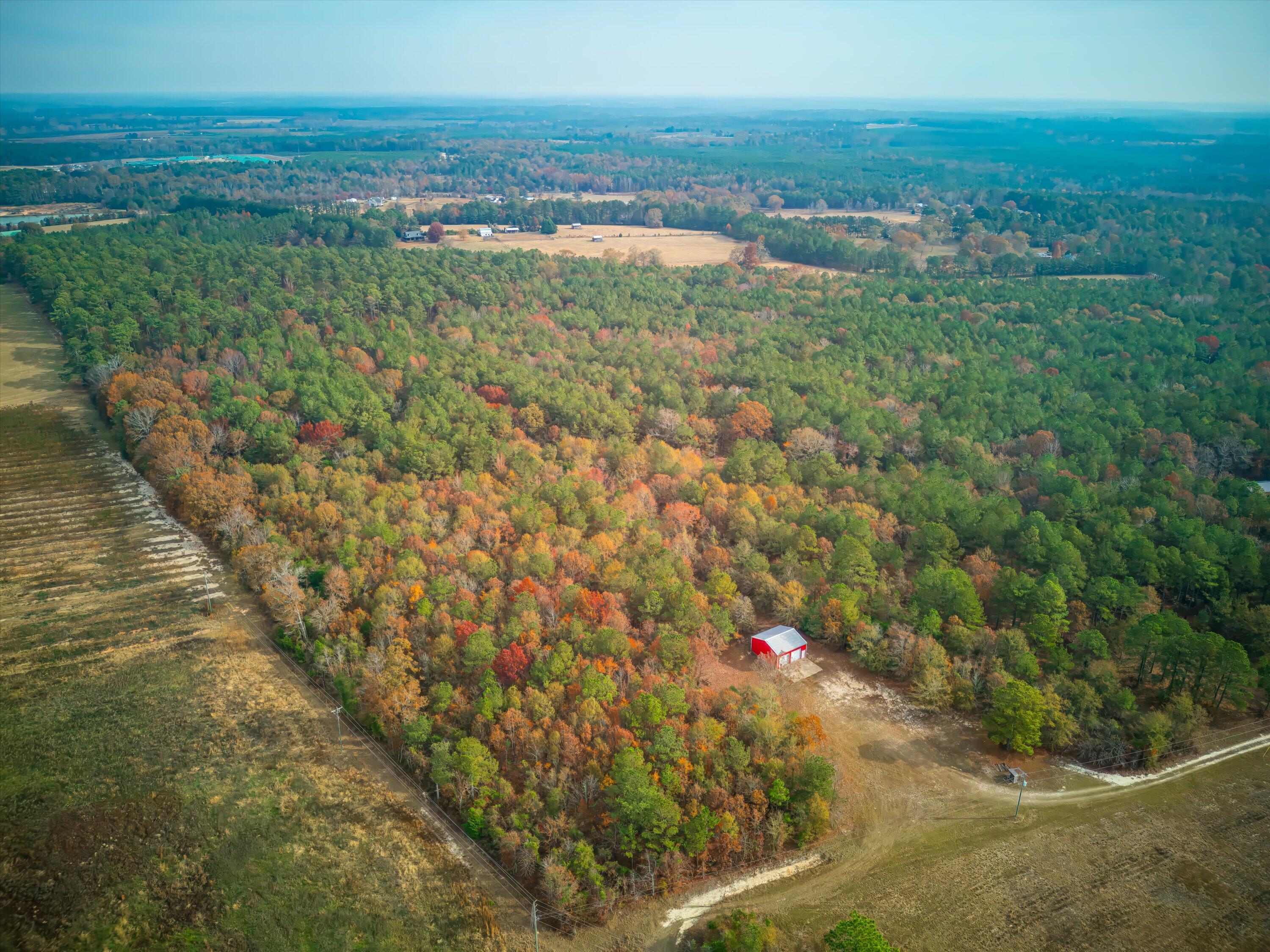 Homes for sale in Trenton, SC | 0 Windy Ridge Rd, Trenton, SC 29847 | MLS# 549814
