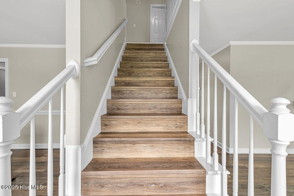 100524146 | Photo 32