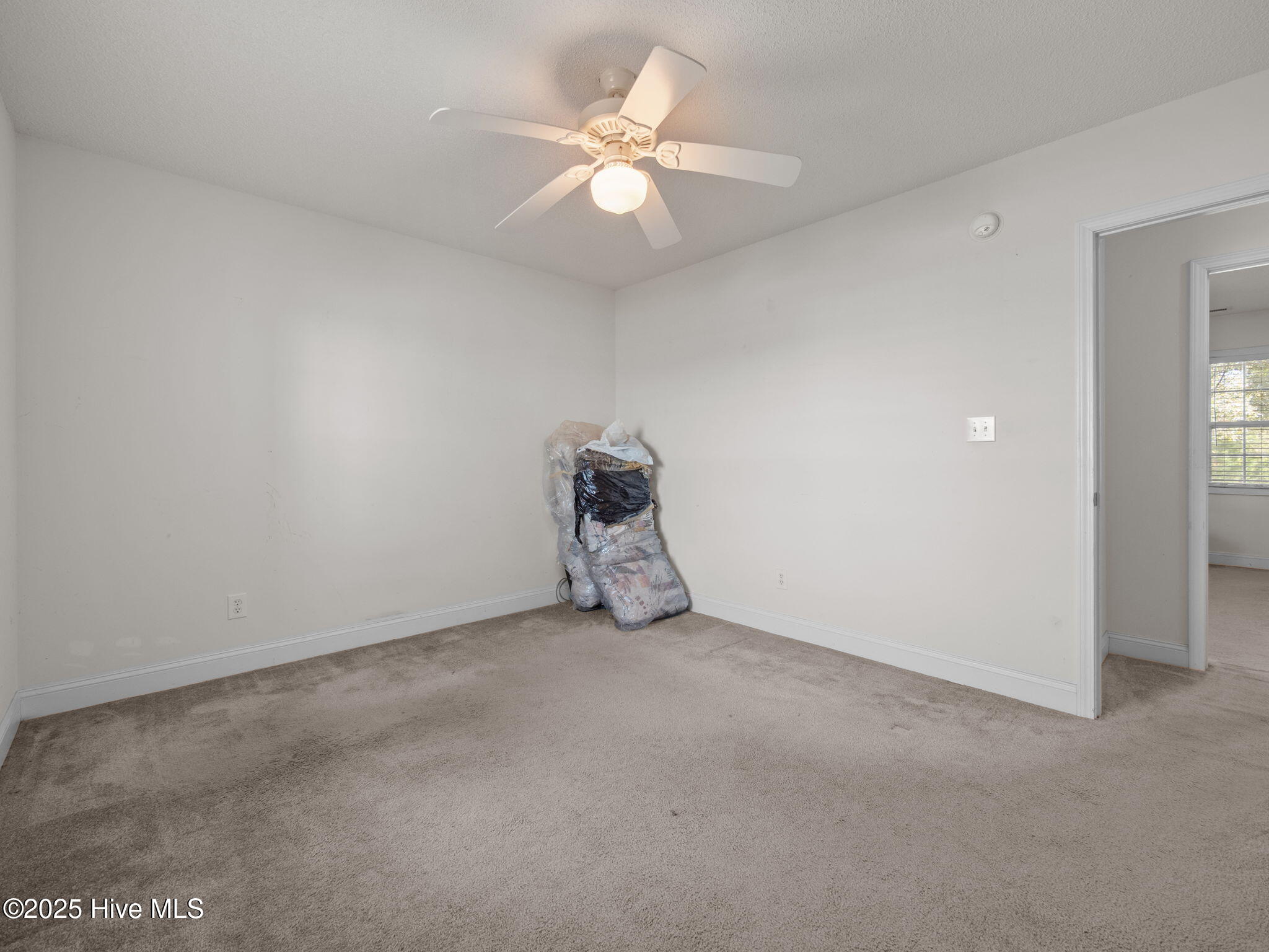 100545105 | Photo 19