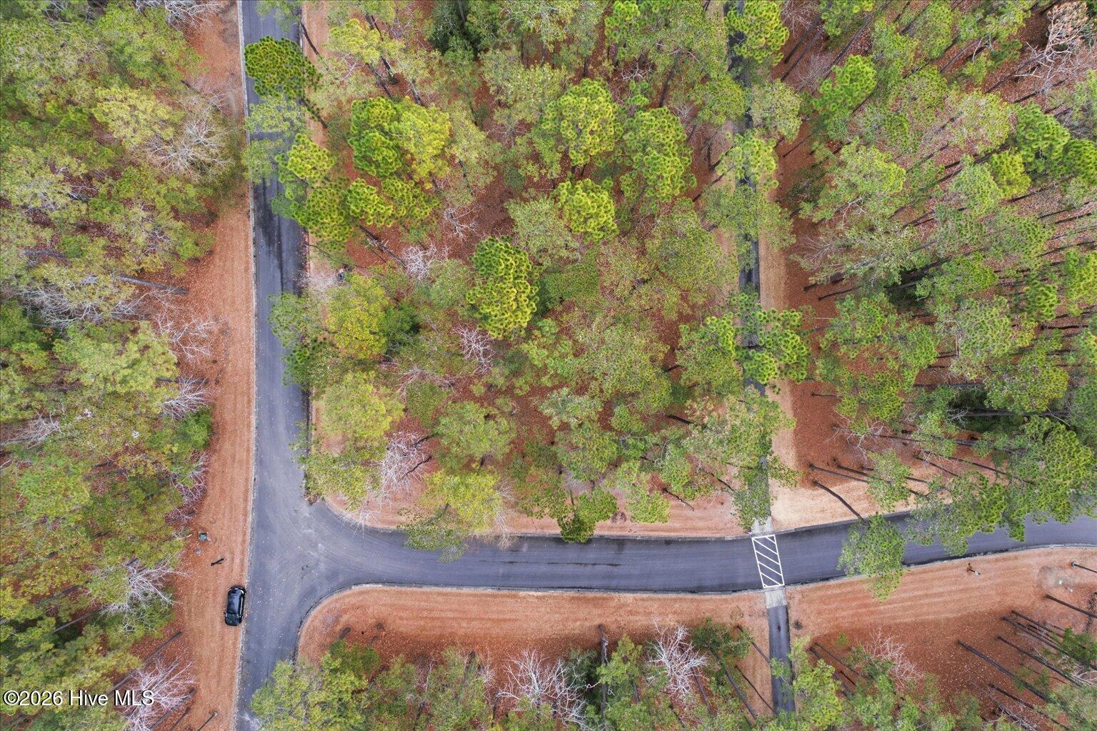 100555112 | Photo 28