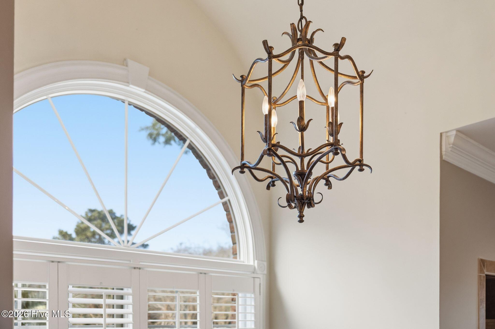 100565083 | Photo 38