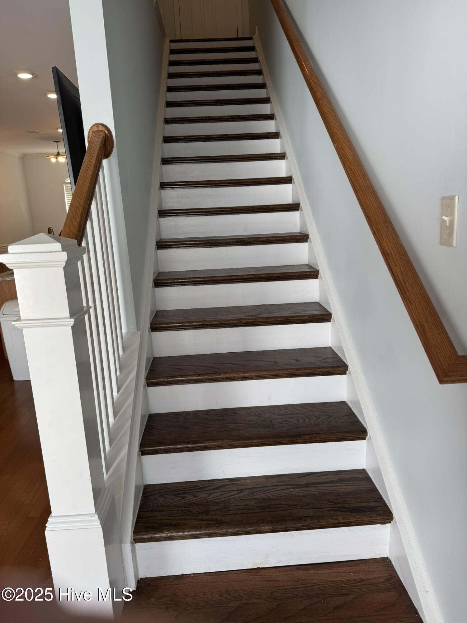 100534789 | Photo 10