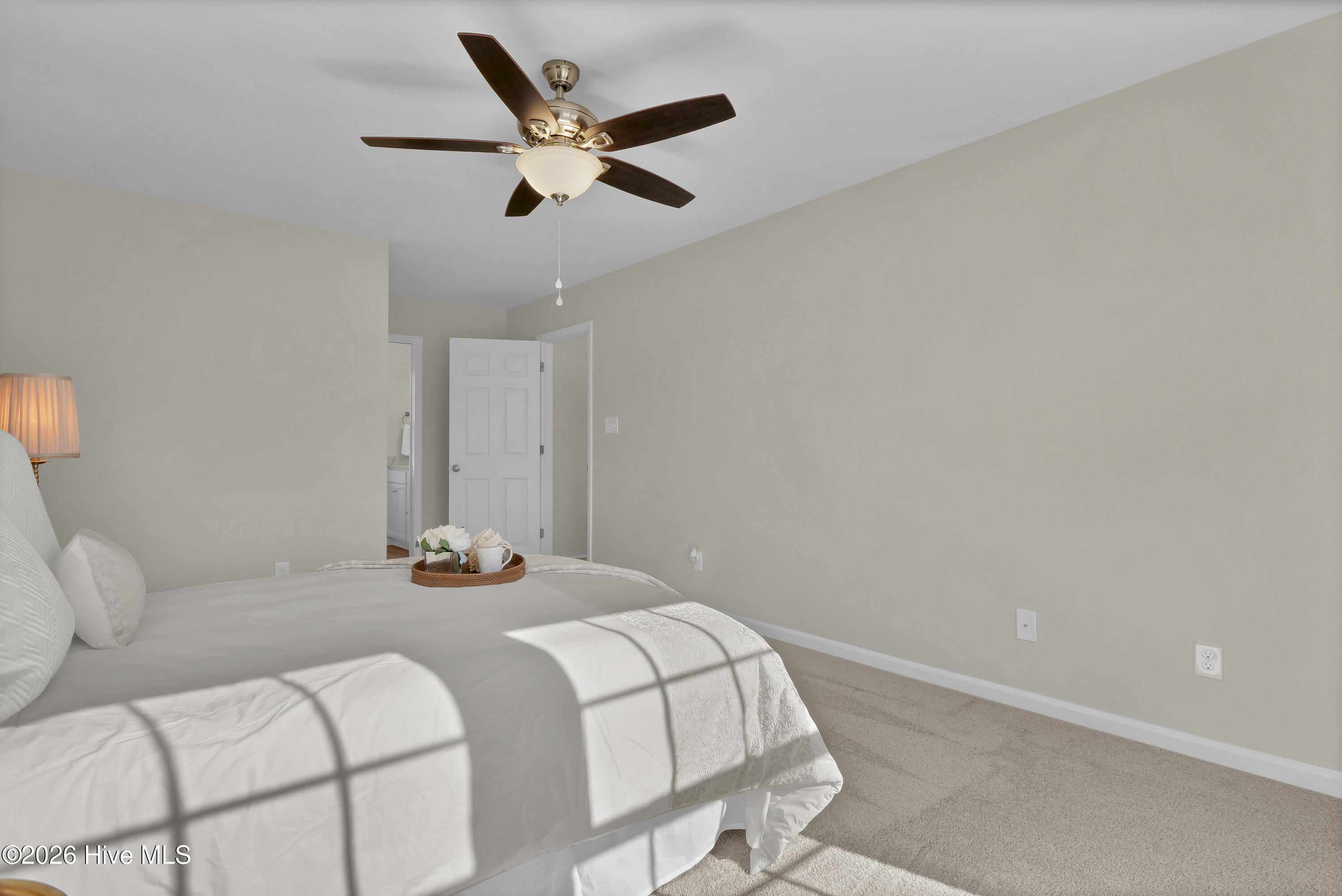 100556678 | Photo 23