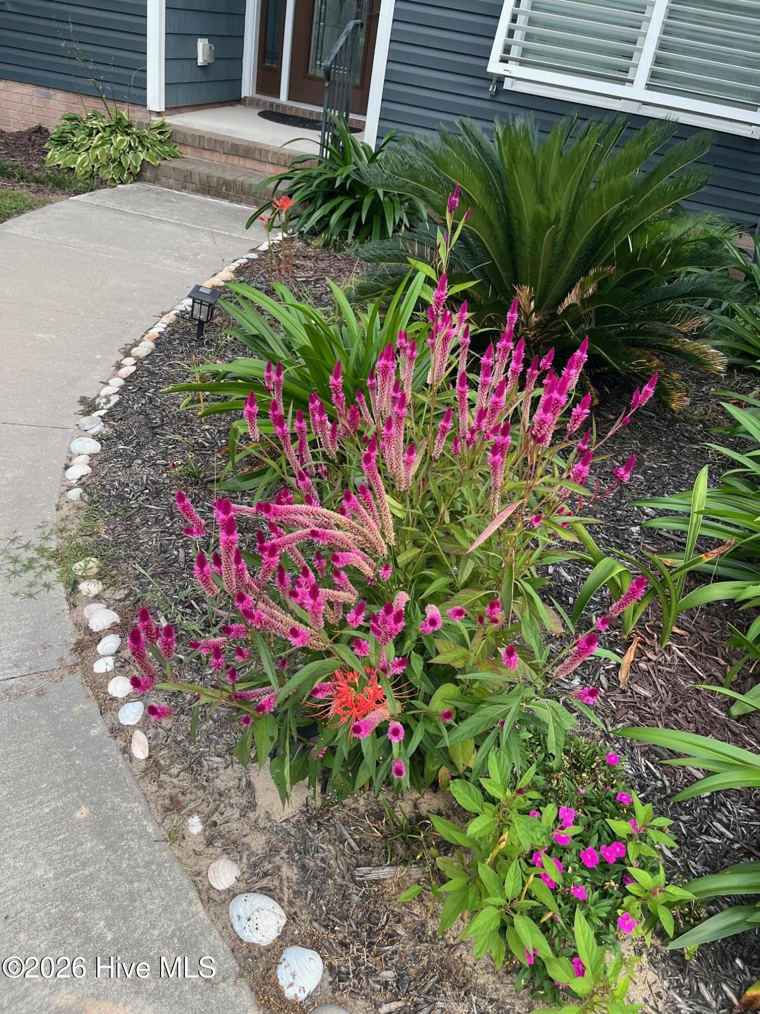 100557906 | Photo 32