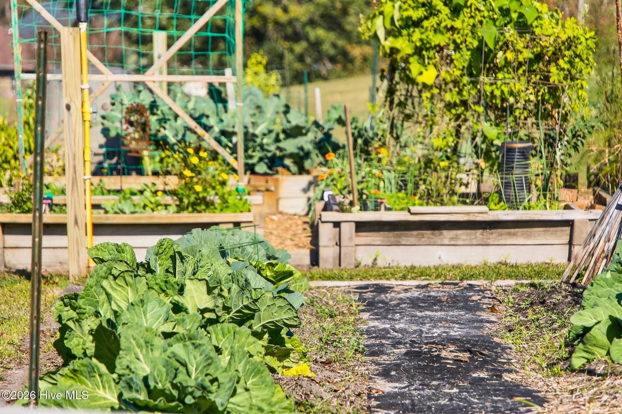 100549590 | Photo 45