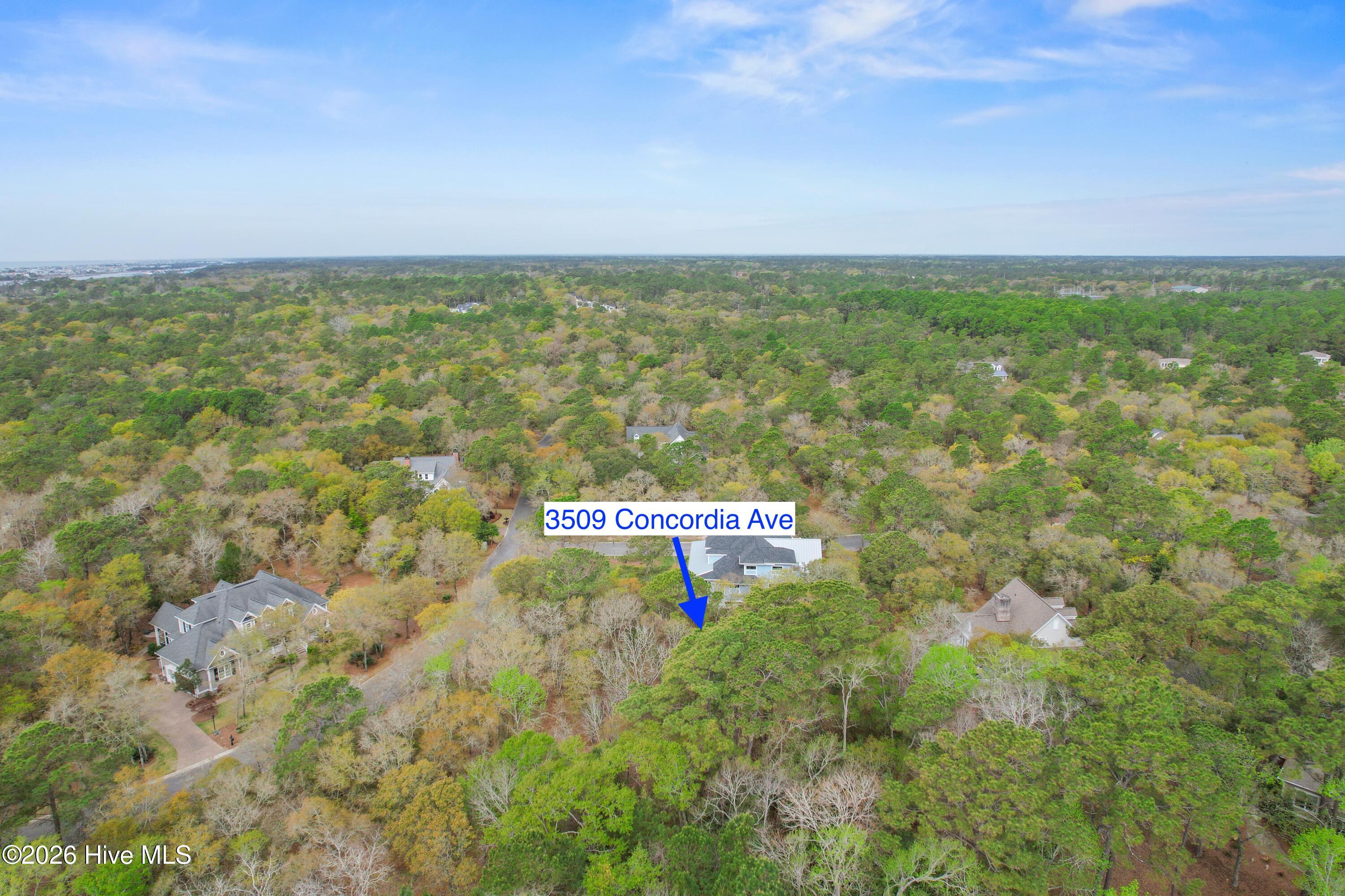 100567626 | Photo 14