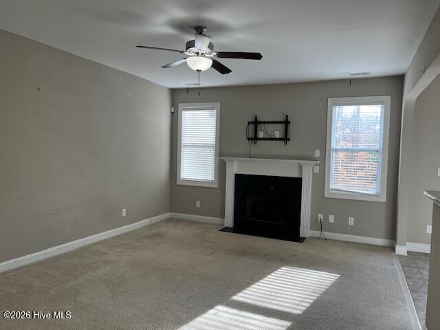 100552837 | Photo 13