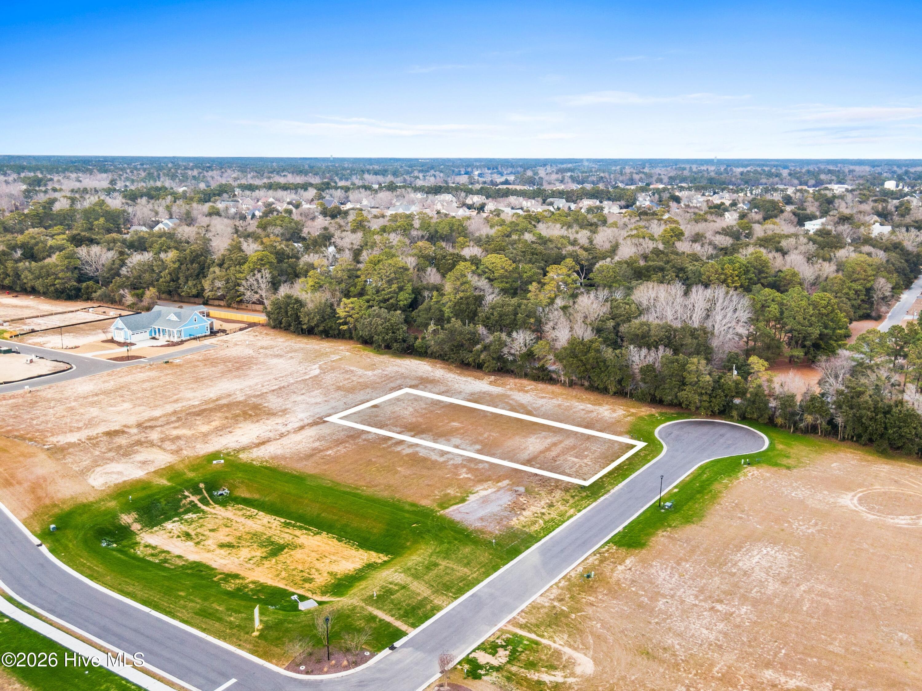 100553588 | Photo 13