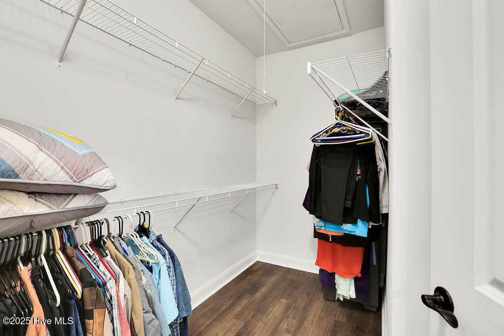 100546286 | Photo 24