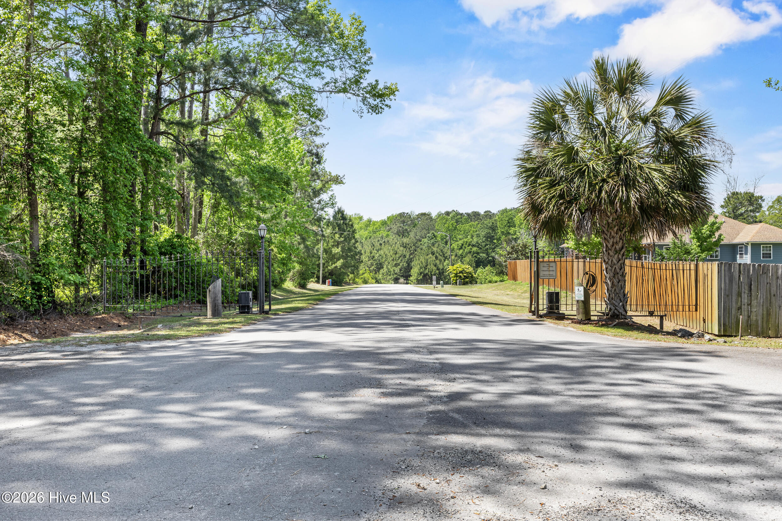 100569506 | Photo 71