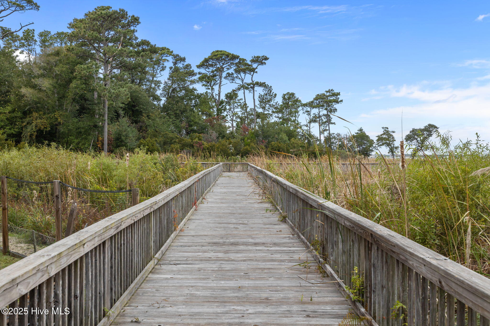 100540385 | Photo 47