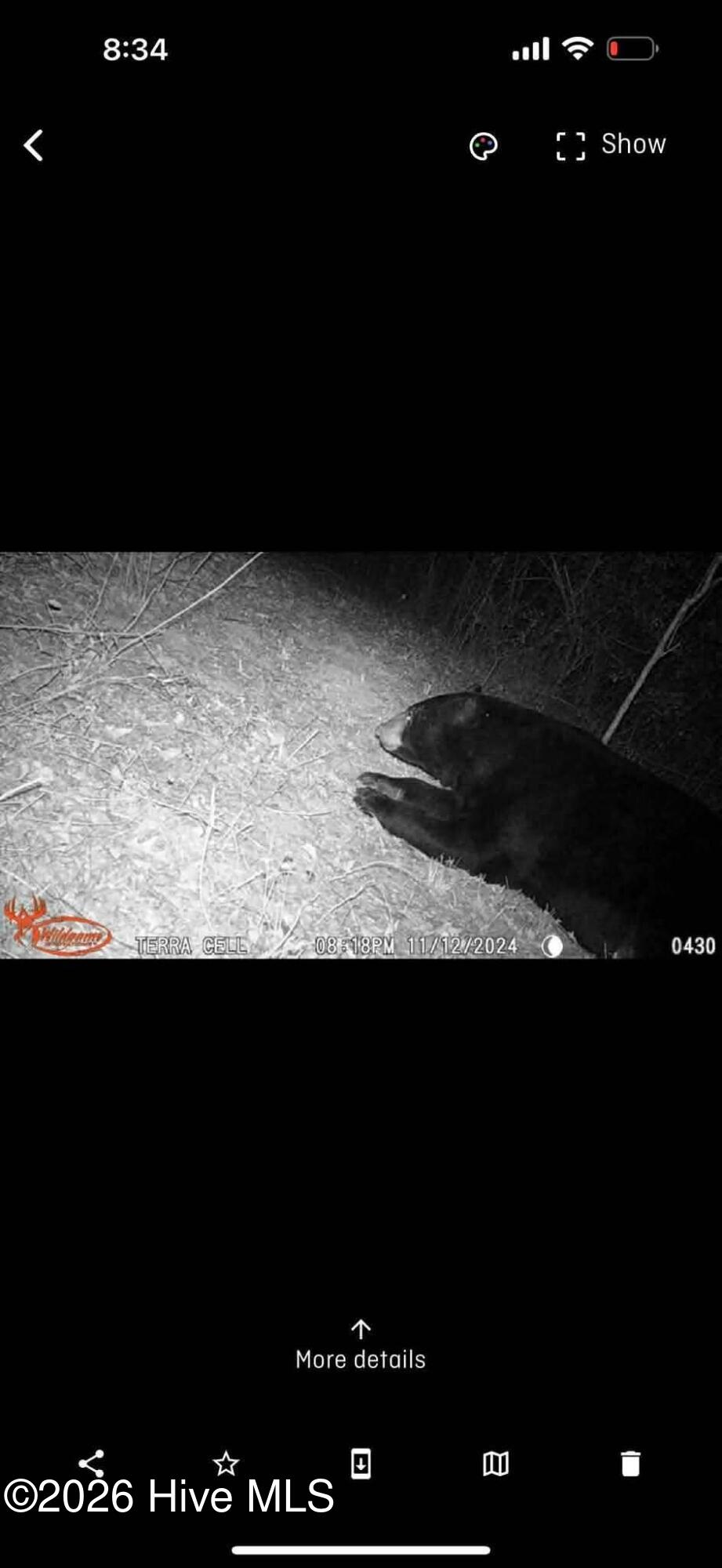 Photo Mar 29 2026, 11 09 40 AM (19)