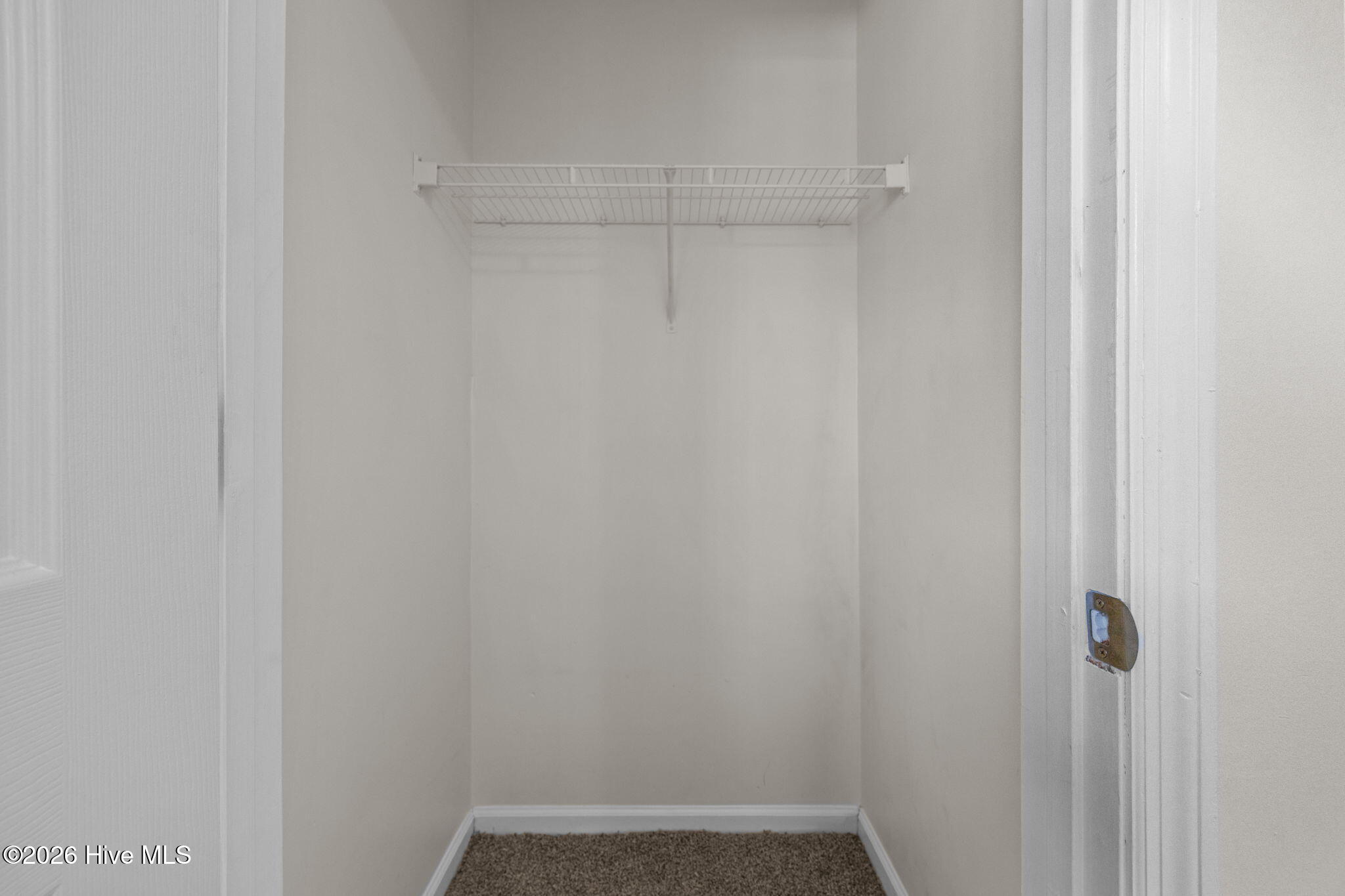 100551295 | Photo 16