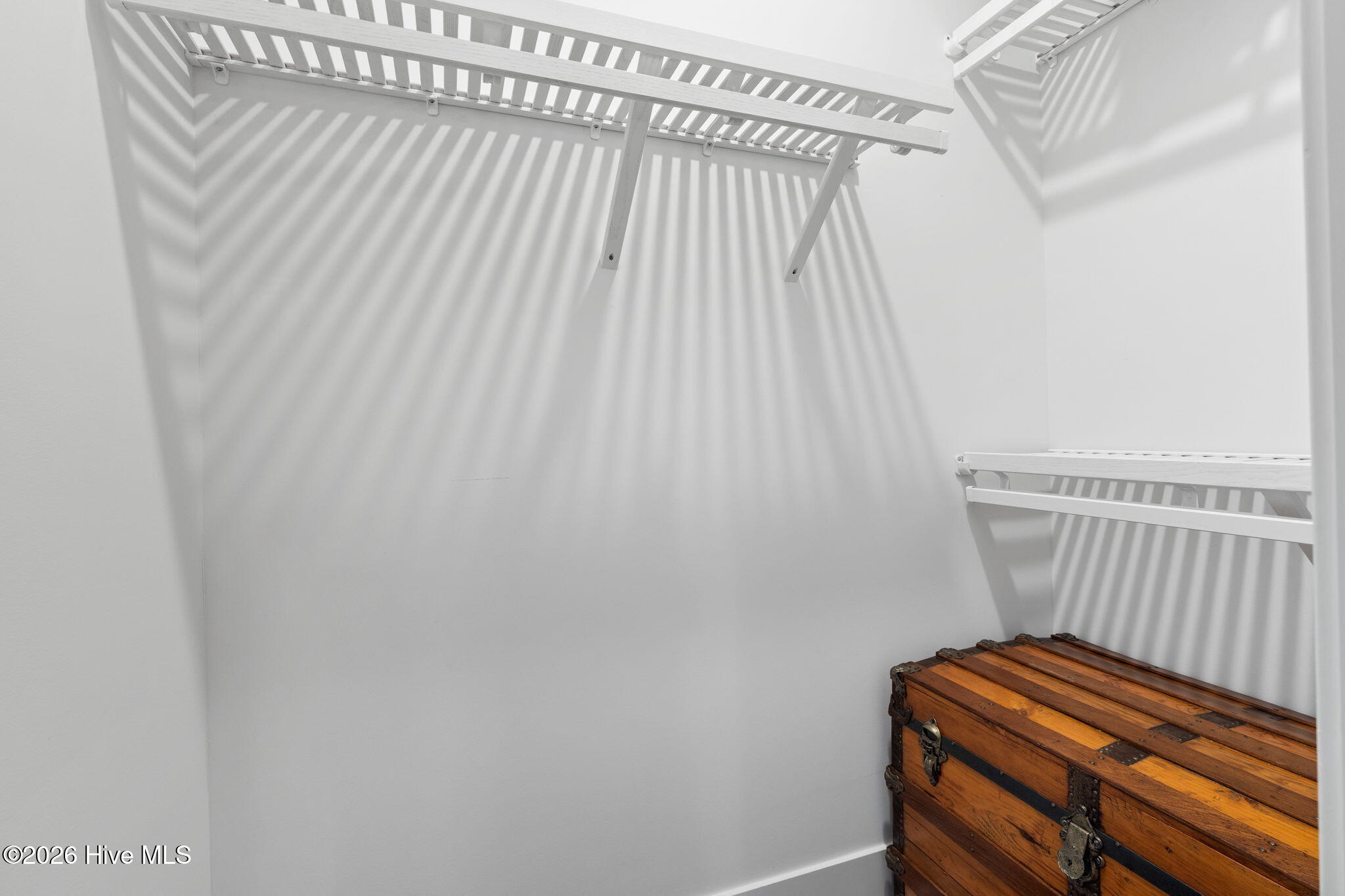 100568020 | Photo 20