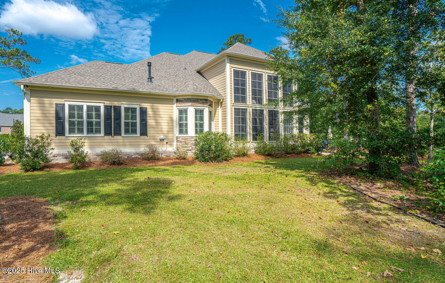 100534571 | Photo 107