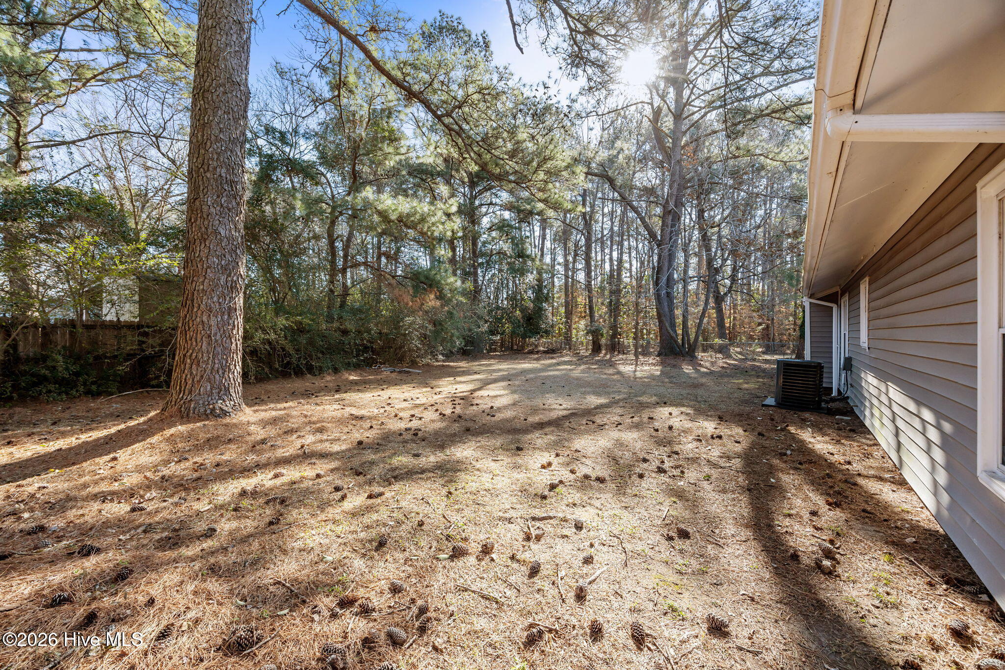 100554477 | Photo 19