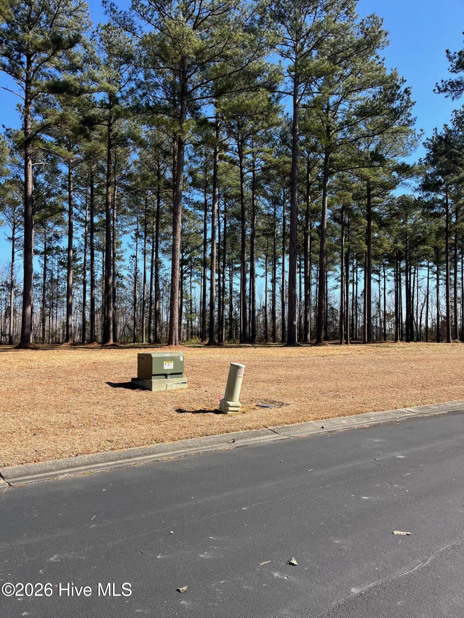 2 122 Bald Head Island Court S,Oriental