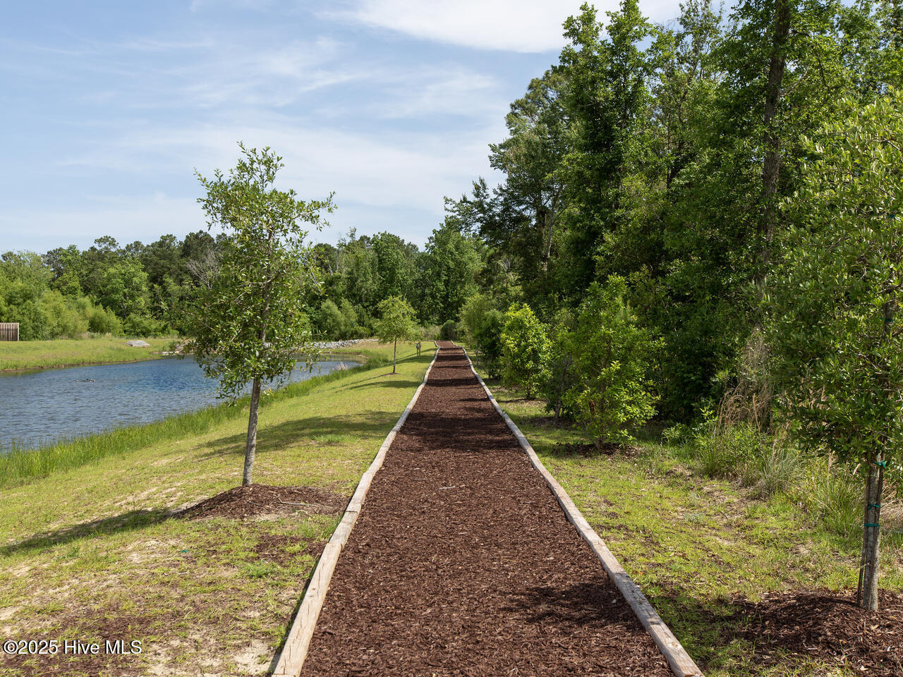 100512495 | Photo 38