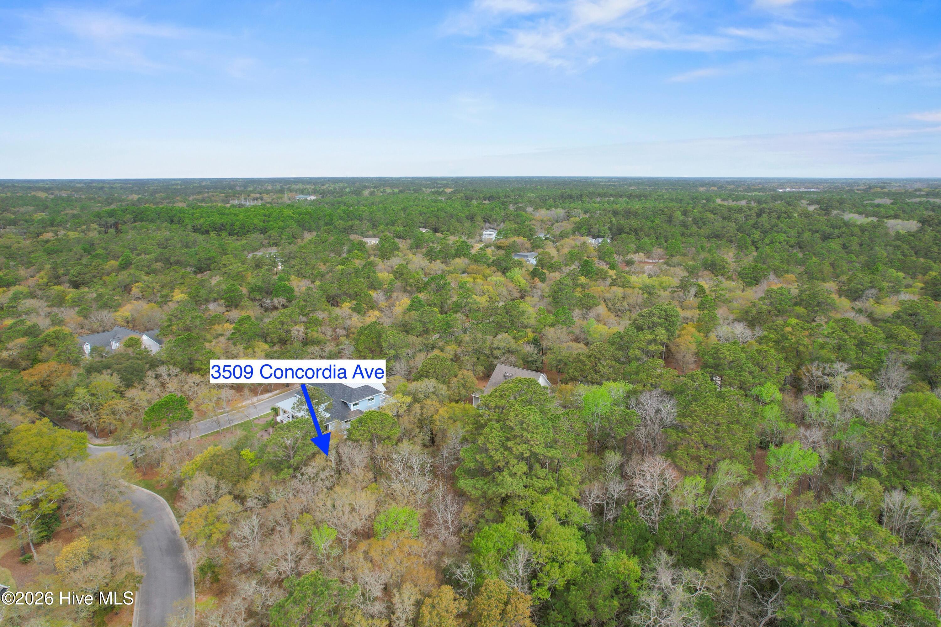 100567626 | Photo 16