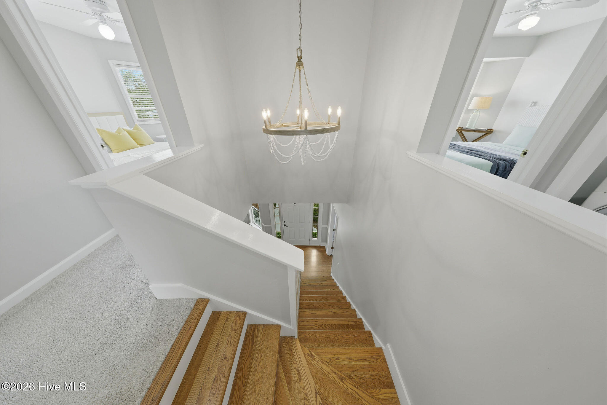 100565537 | Photo 77