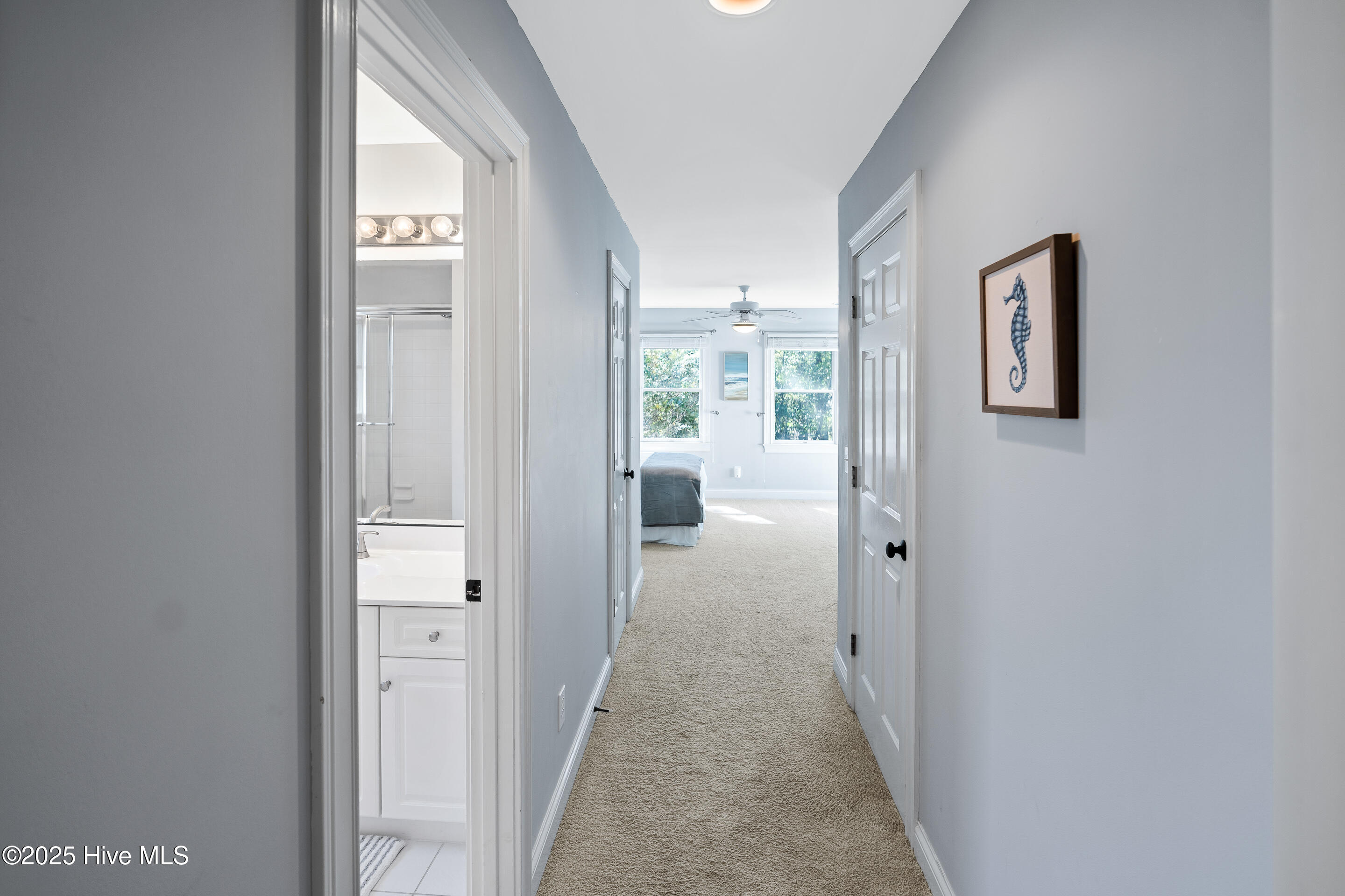 100534537 | Photo 31