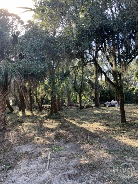 Photo 4 of Land for sale at 0 Mckenzie Ave, Tybee Island, GA 31328 | MLS# SA356630 | Listing updated on 2026-09-18