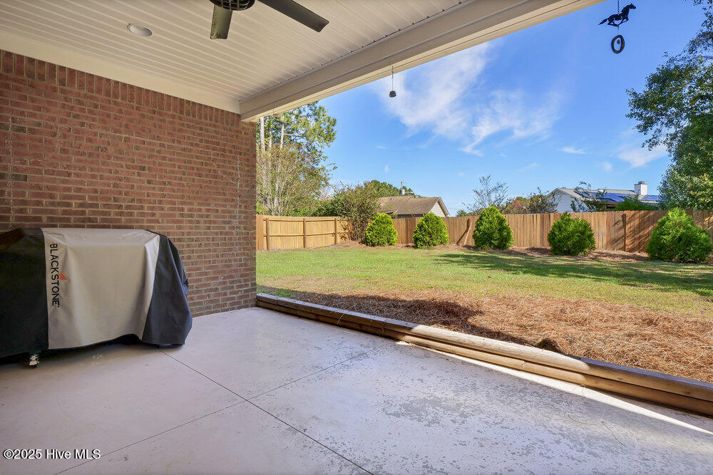 100555052 | Photo 24