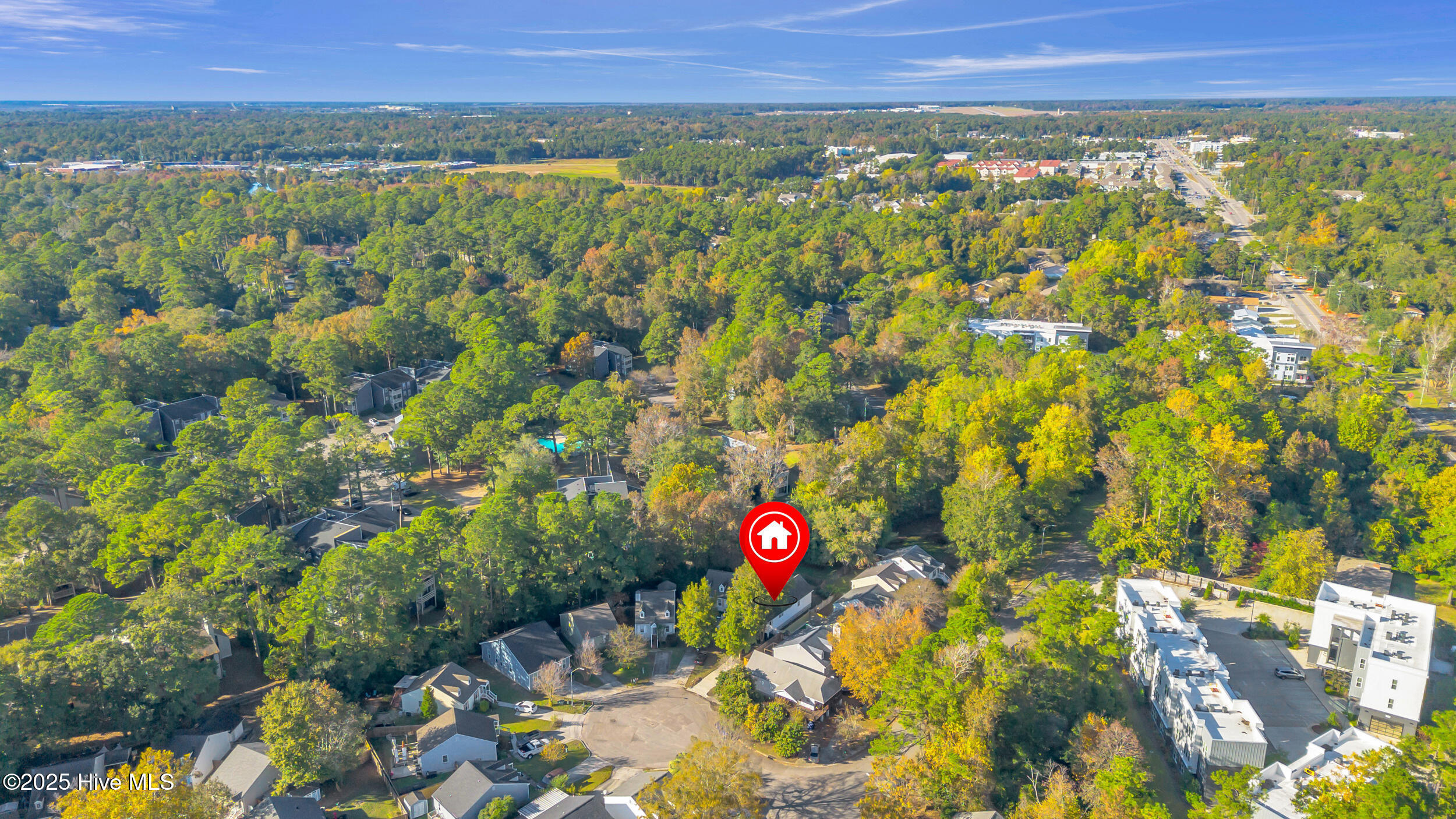 100540168 | Photo 39