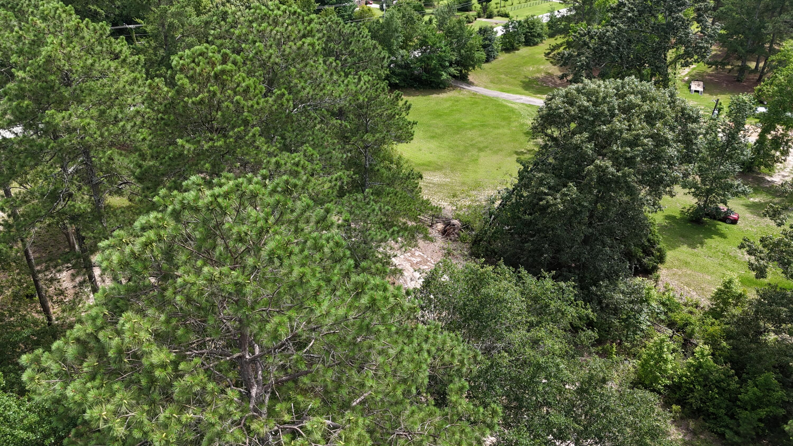 2039 Mcdade Farm Road, Hephzibah, GA, 30815